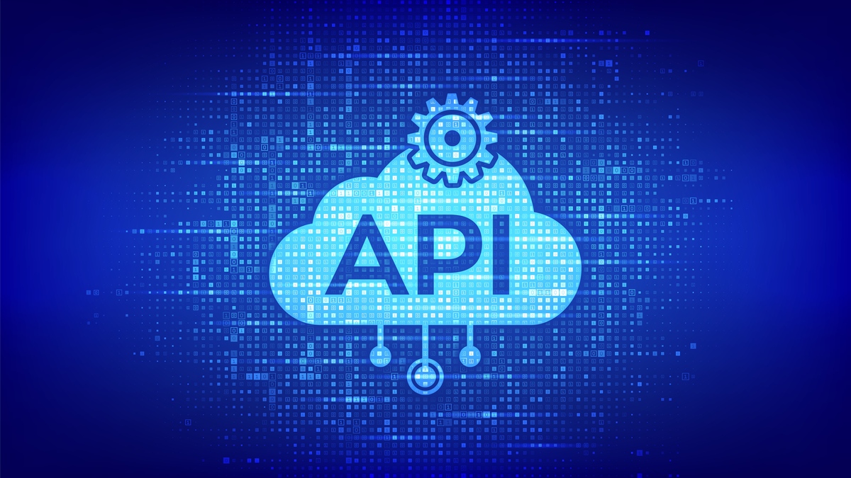 我给你取名 五五