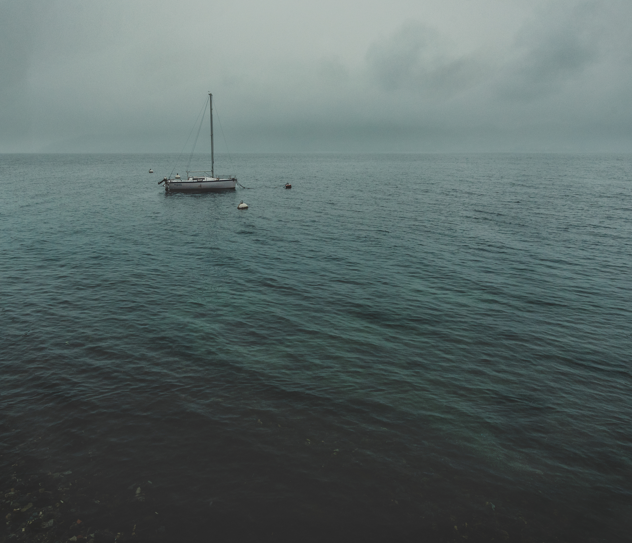 见风使舵的人：三字俗语揭示其本质