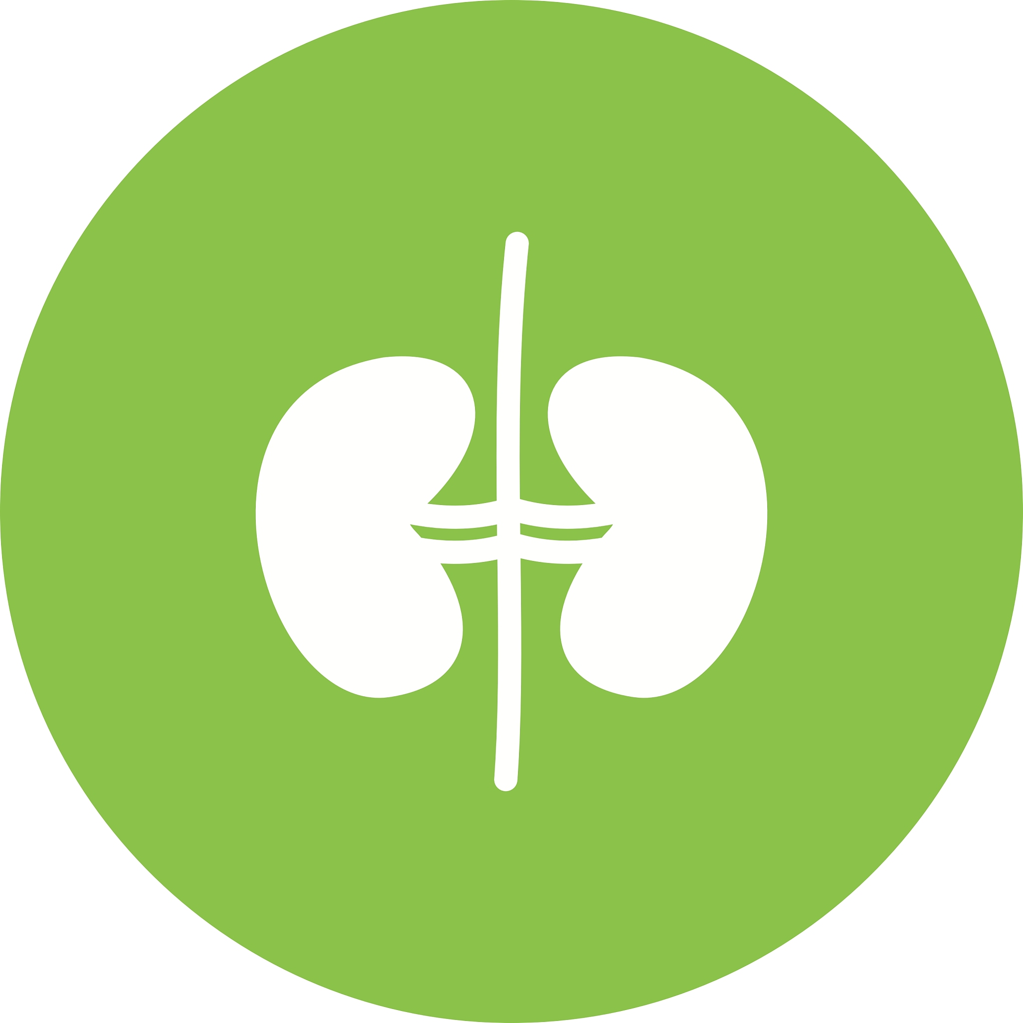 kidneys