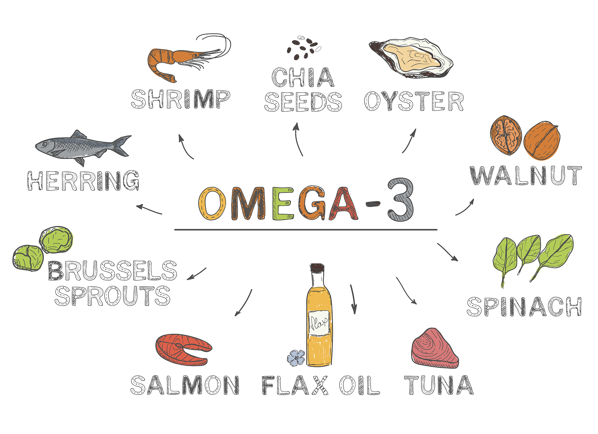 食物对种群数量的调节作用