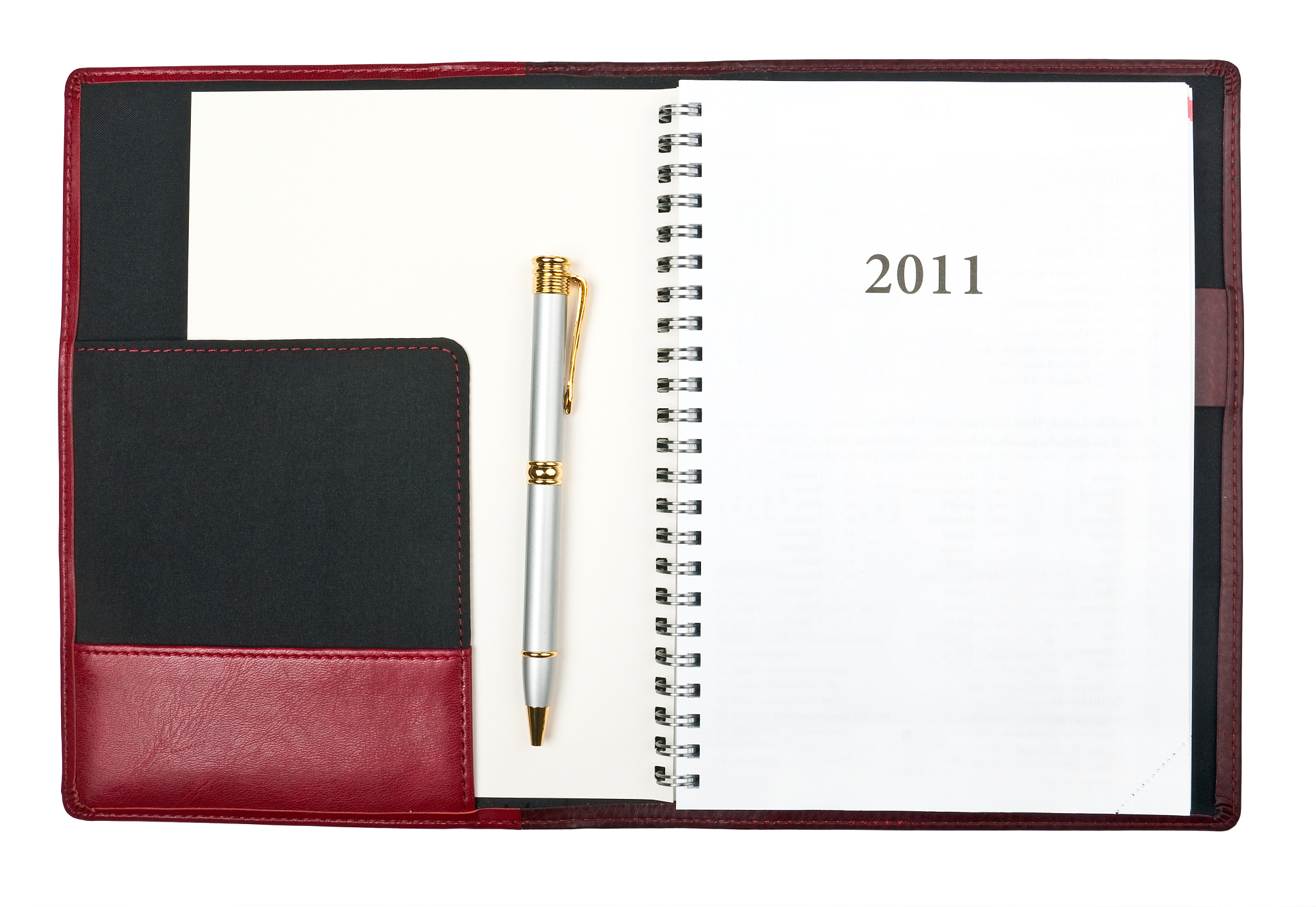 diary 2011