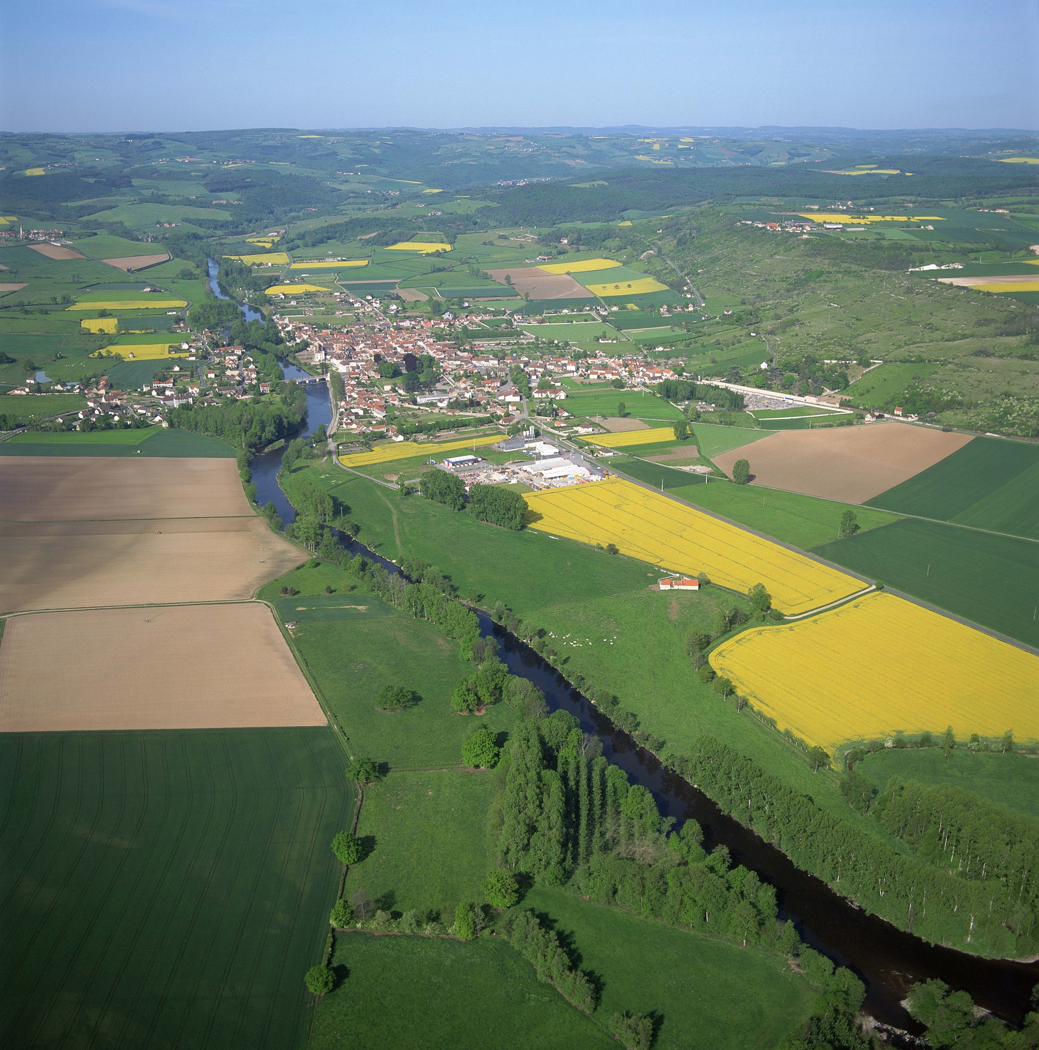 完成_____、_____、_____三条控制线划定工作。选择一项或多项：a 永久基本农田b 城镇开发边界c 生态保护红线d 国土绿化面积
