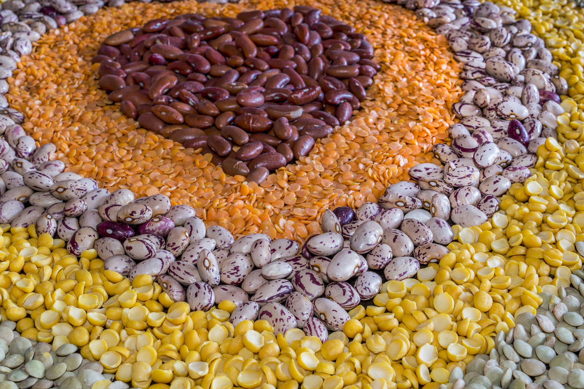 石河子大学的种子科学与工程专业前景如何