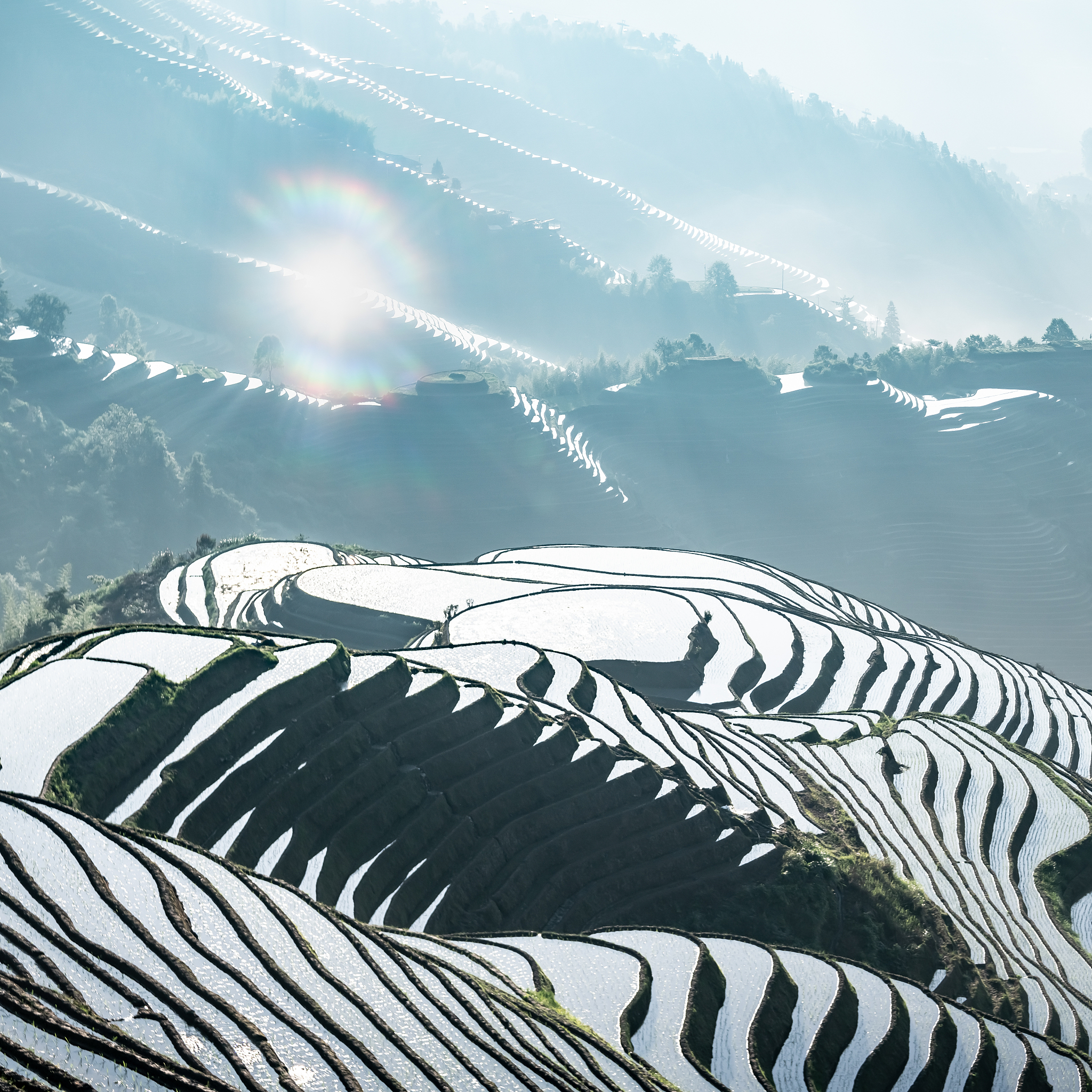 广西2022年卫校有哪些科目