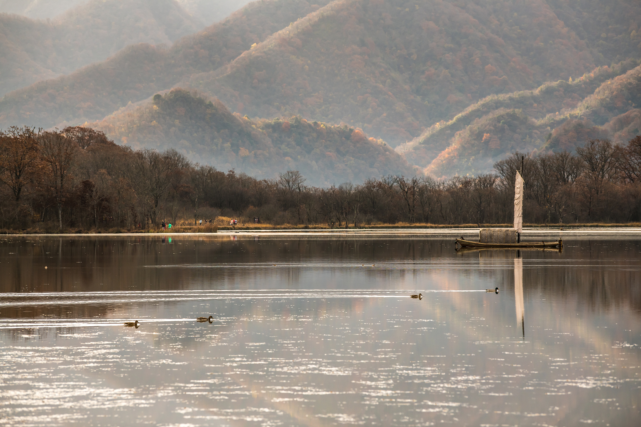 Shennongjia English guide wordsShennongjia Scenic Area Today we will visit Shennongjia Scenic Area which is known as the central China ridge the green pearl Shennongjia is located in the Yangtze river