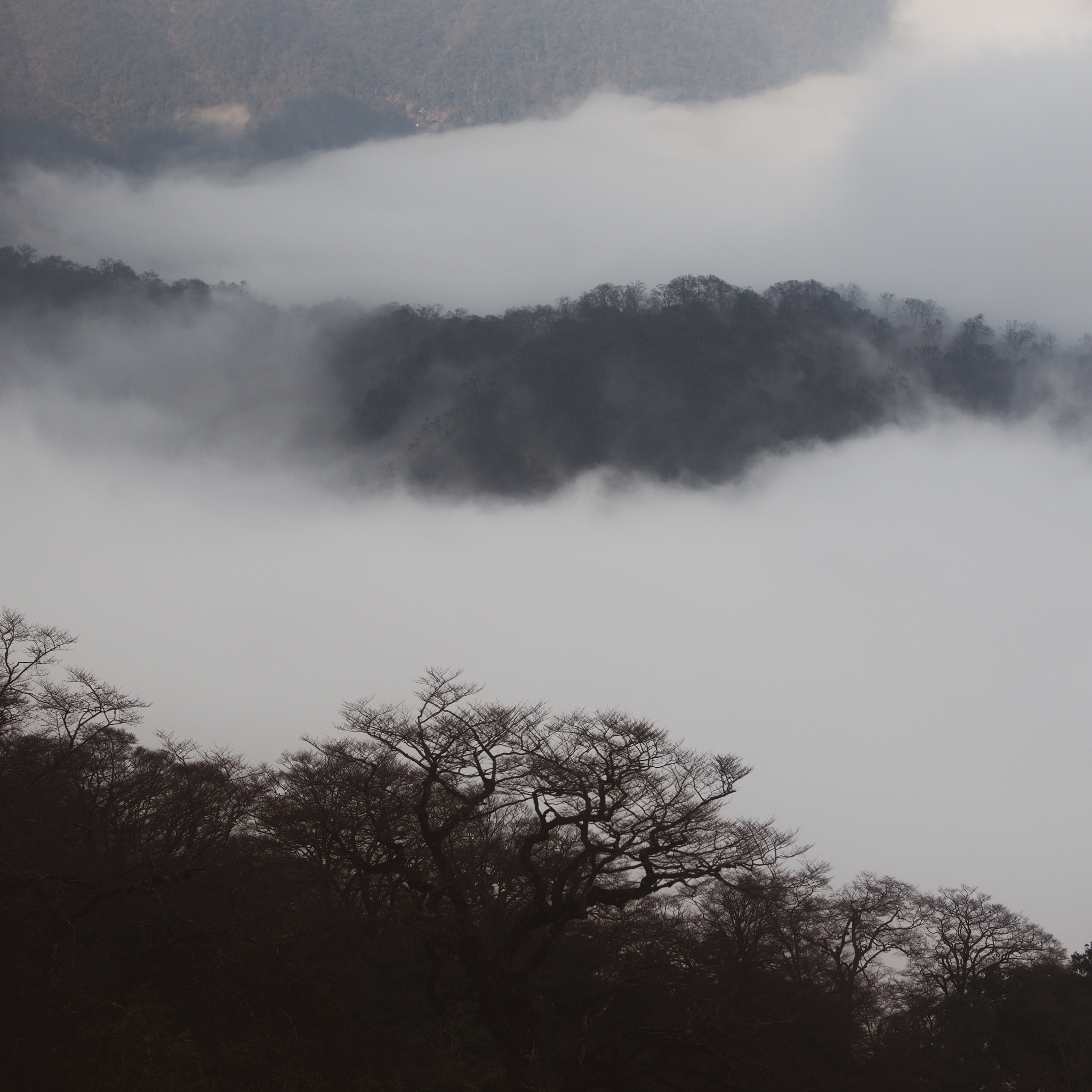2022年铜仁幼儿师范高等专科学校五年制大专招生简章 - 培养幼儿教师的理想选择