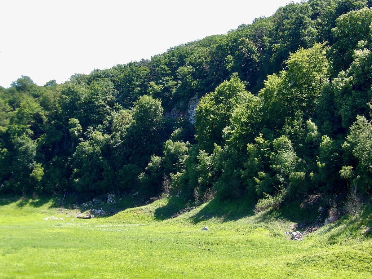 森林生态旅游专业好吗