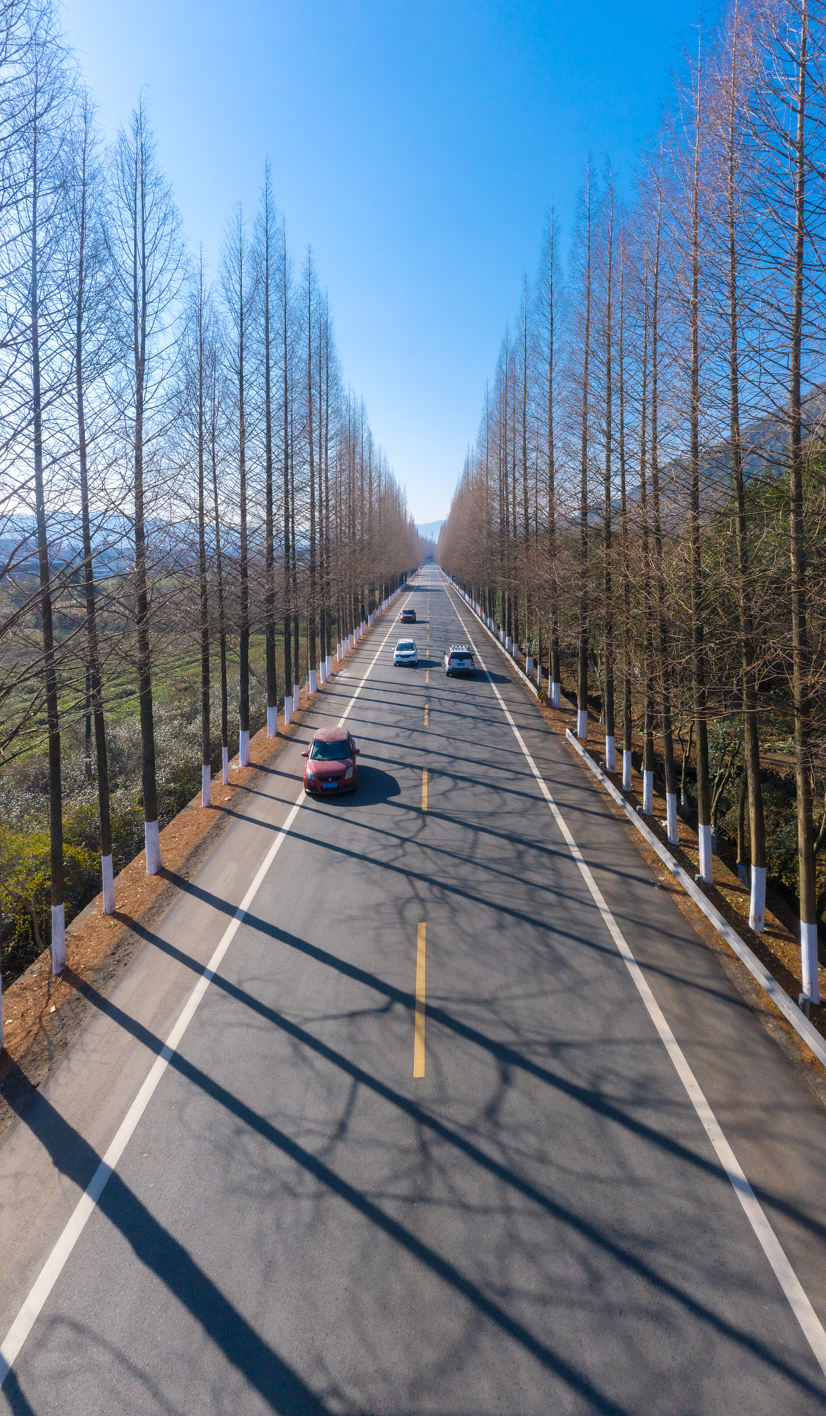 浙江省排名前十的专科学校是哪几个？