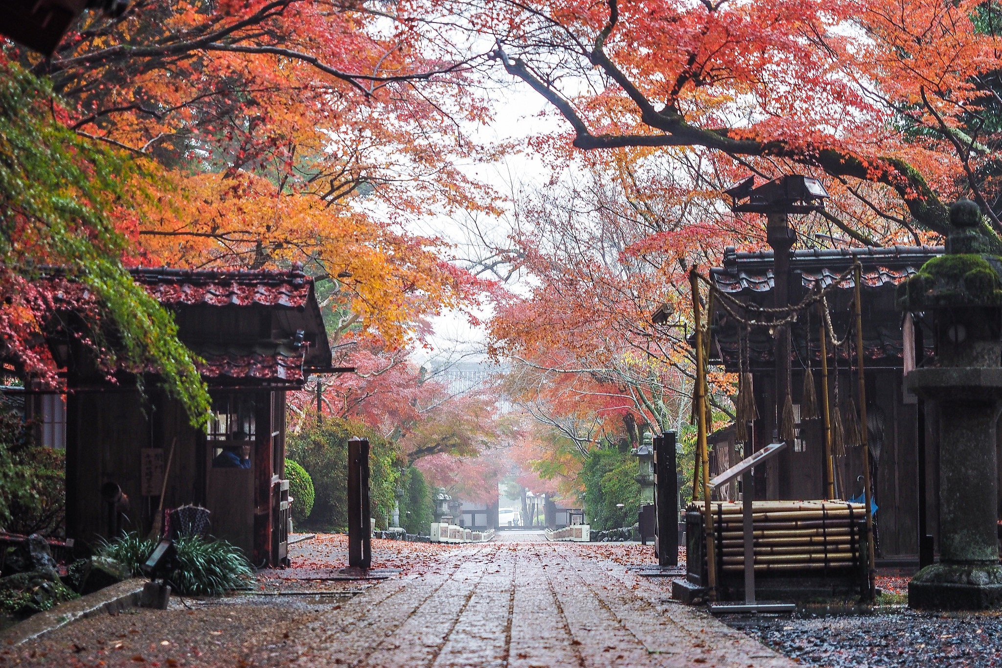 成都建筑学校招收初中生吗？招生要求及学习建议
