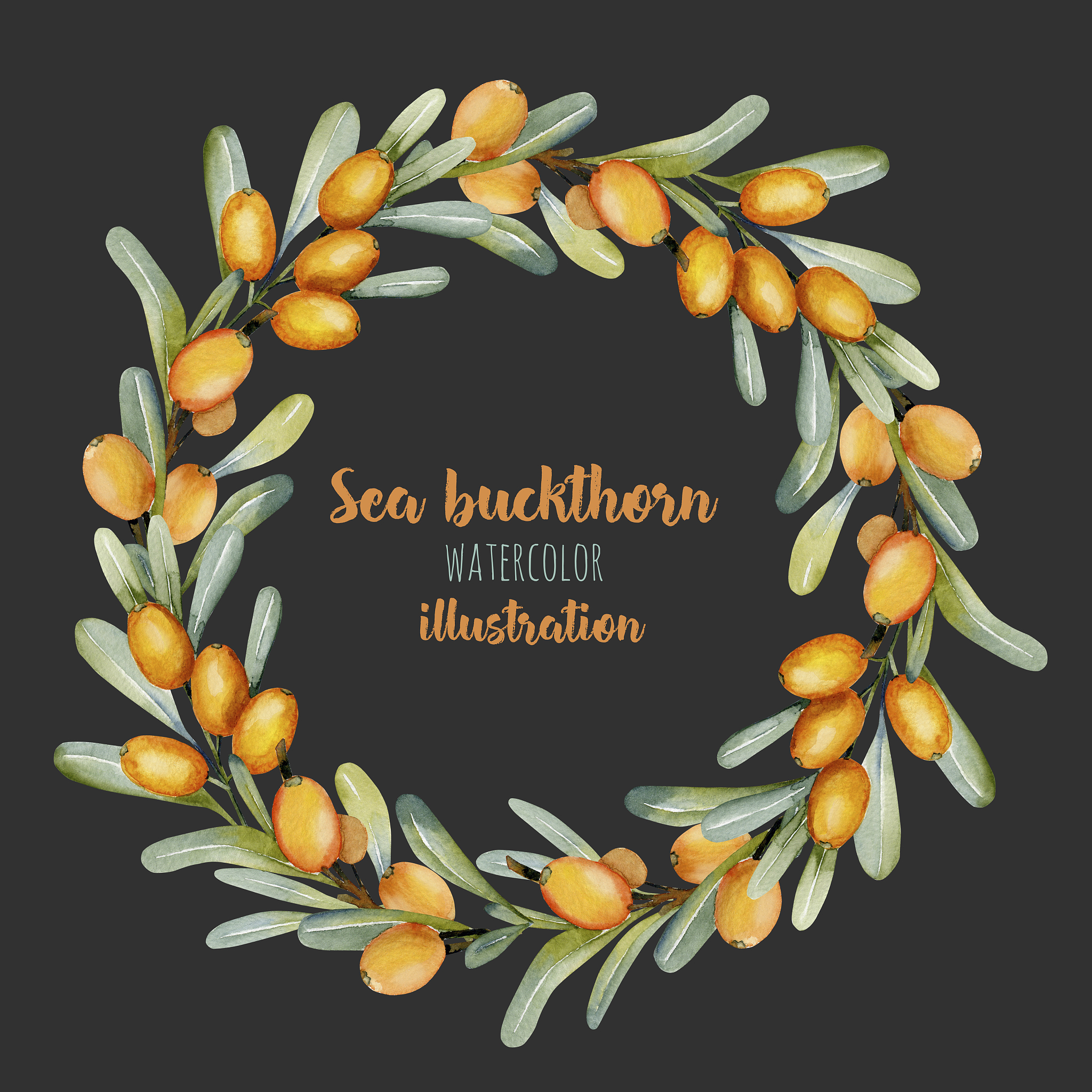 鼎鑫天然沙棘手工精油皂是否有抗氧化功效？