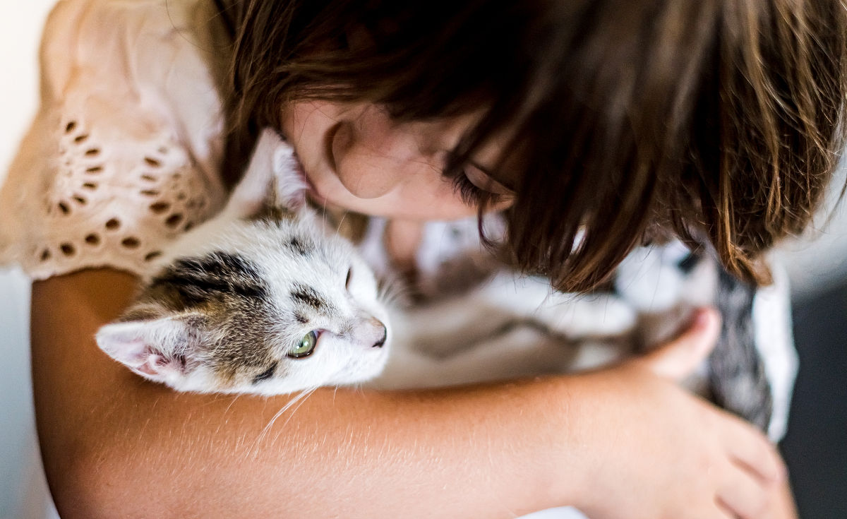 做一个情感类形图片