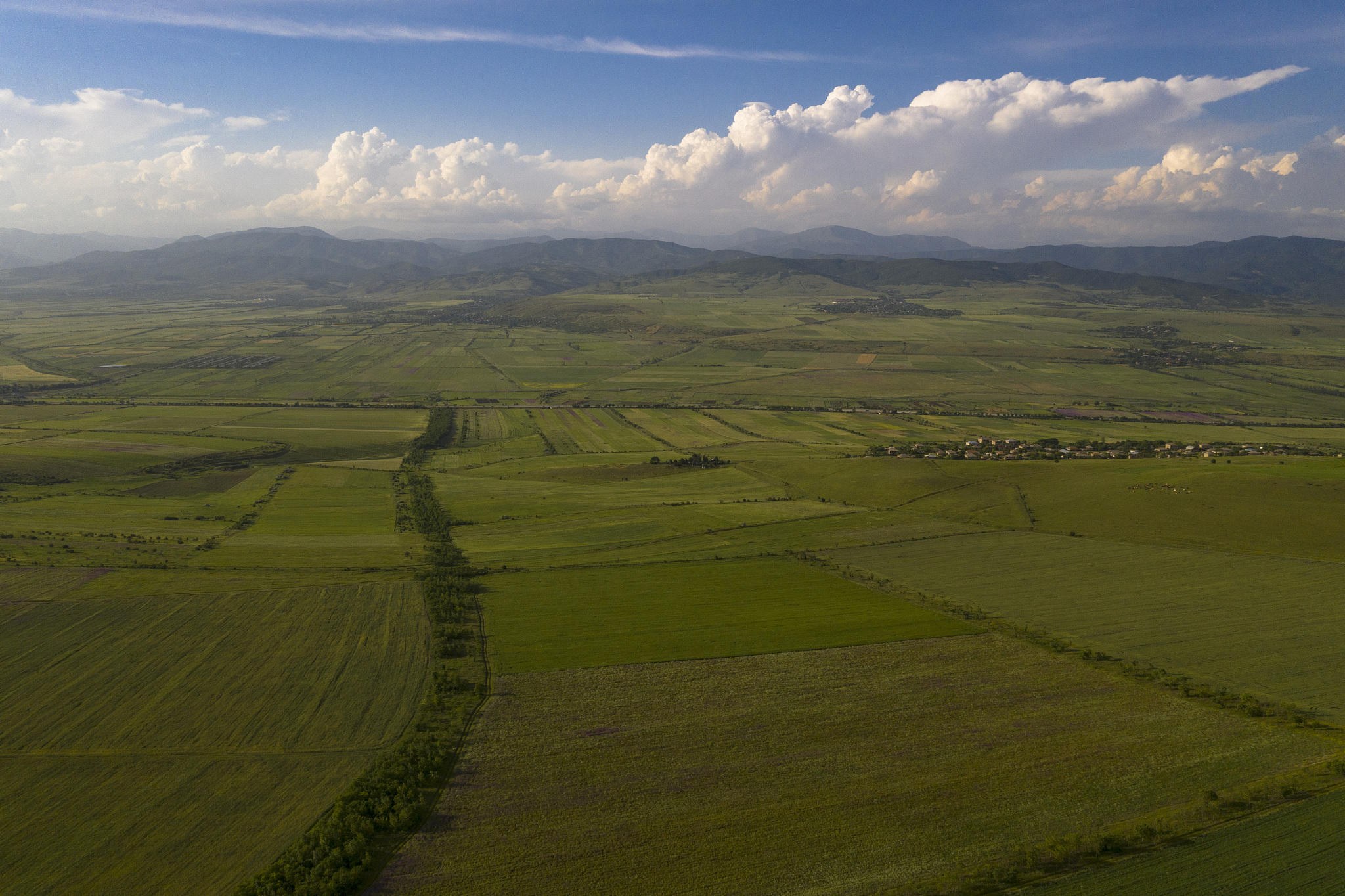 fields and hills