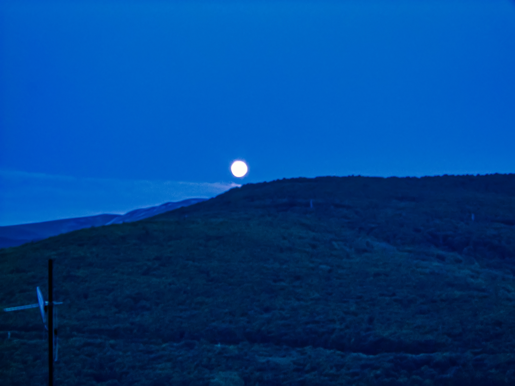 苍茫山子夜。繁星如雨点缀于漆黑的天幕拥簇着那一轮冰月浅辉洒下茫茫大地便笼在其中高山巍巍树木葱葱只是看去除却顶上的那一层白光底下全是陷在阴影之中。 帮我写类似的开头
