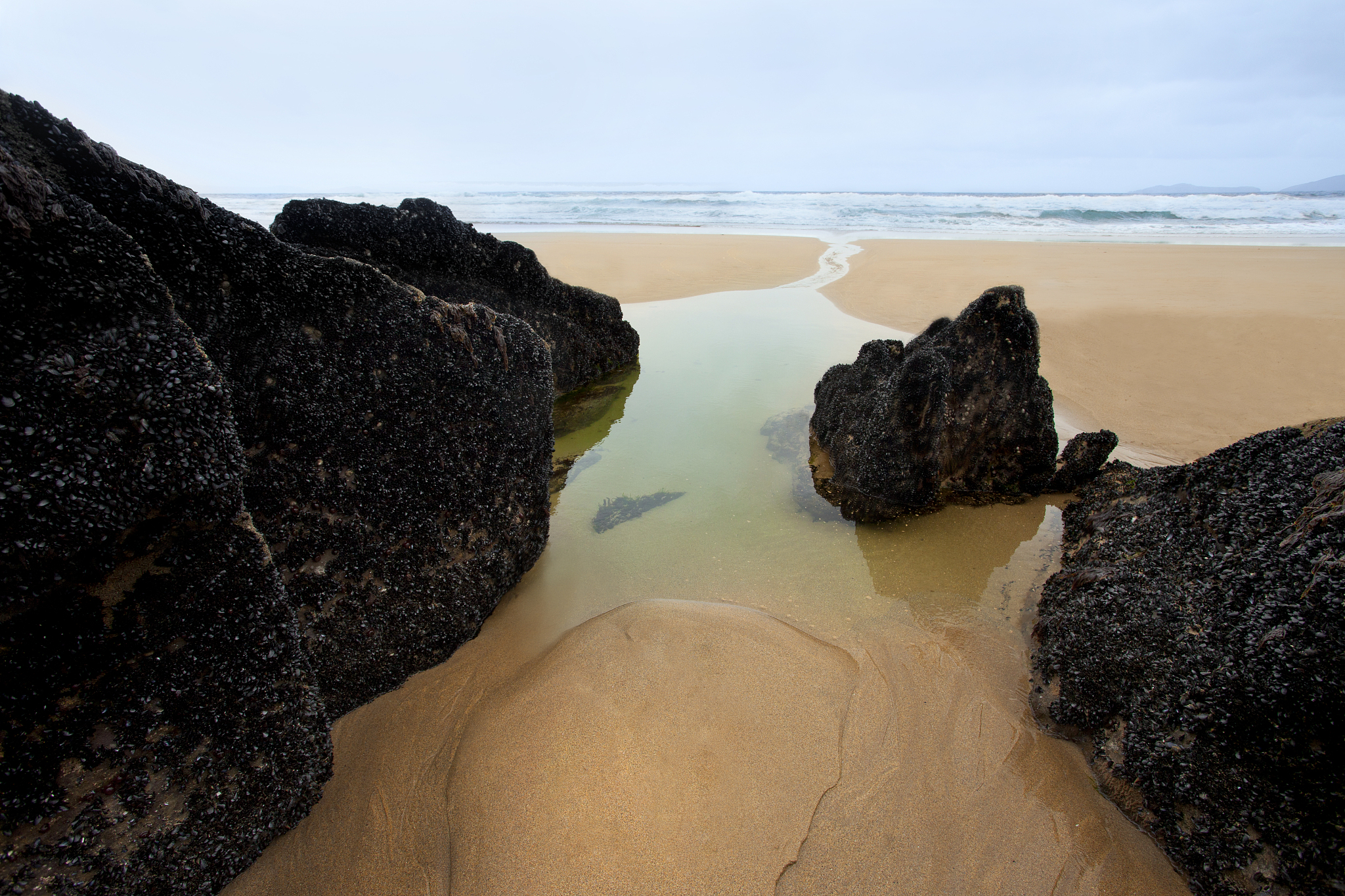 泉州海洋职业学院招生办联系电话