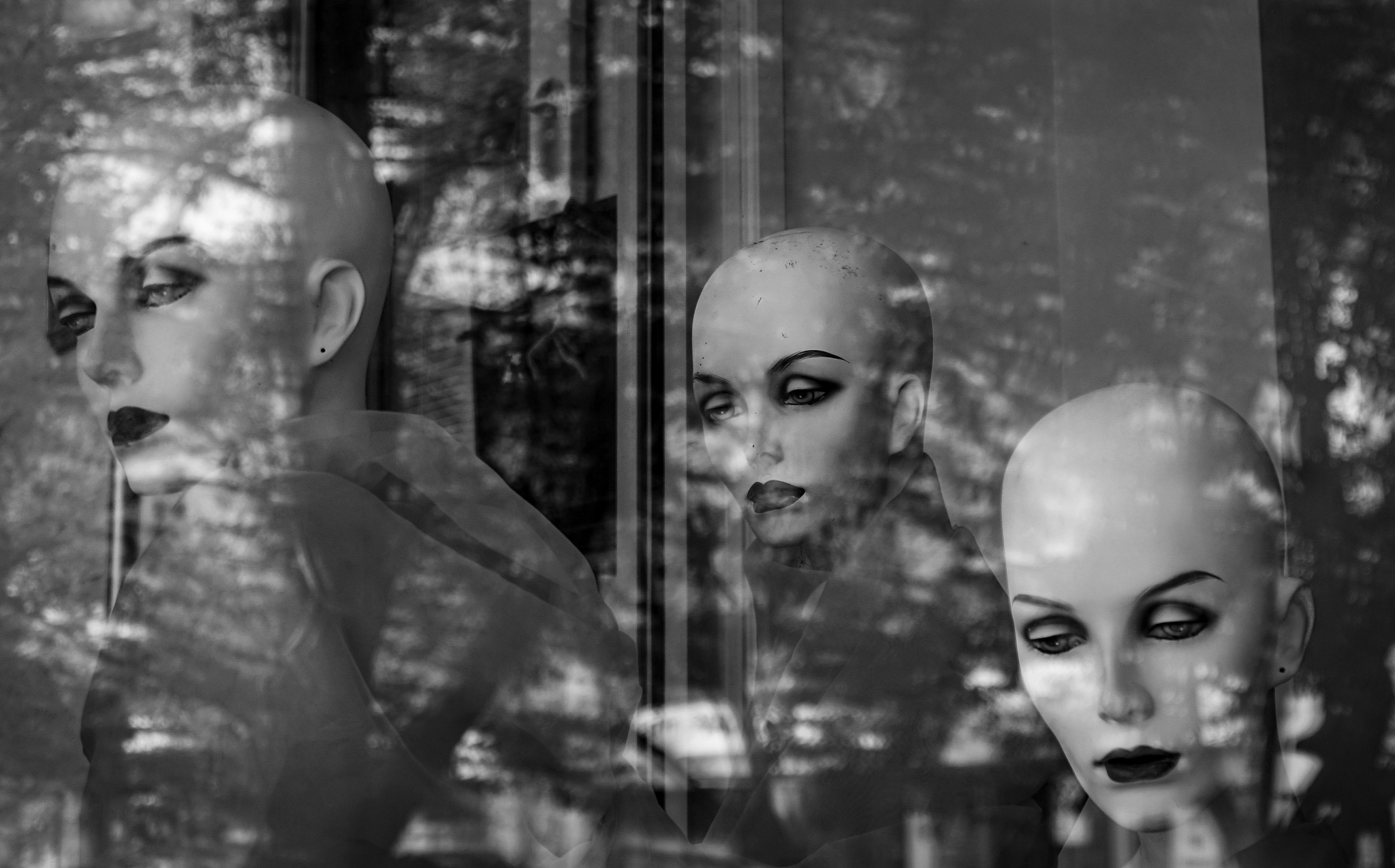 bald mannequin heads in a window with reflected light