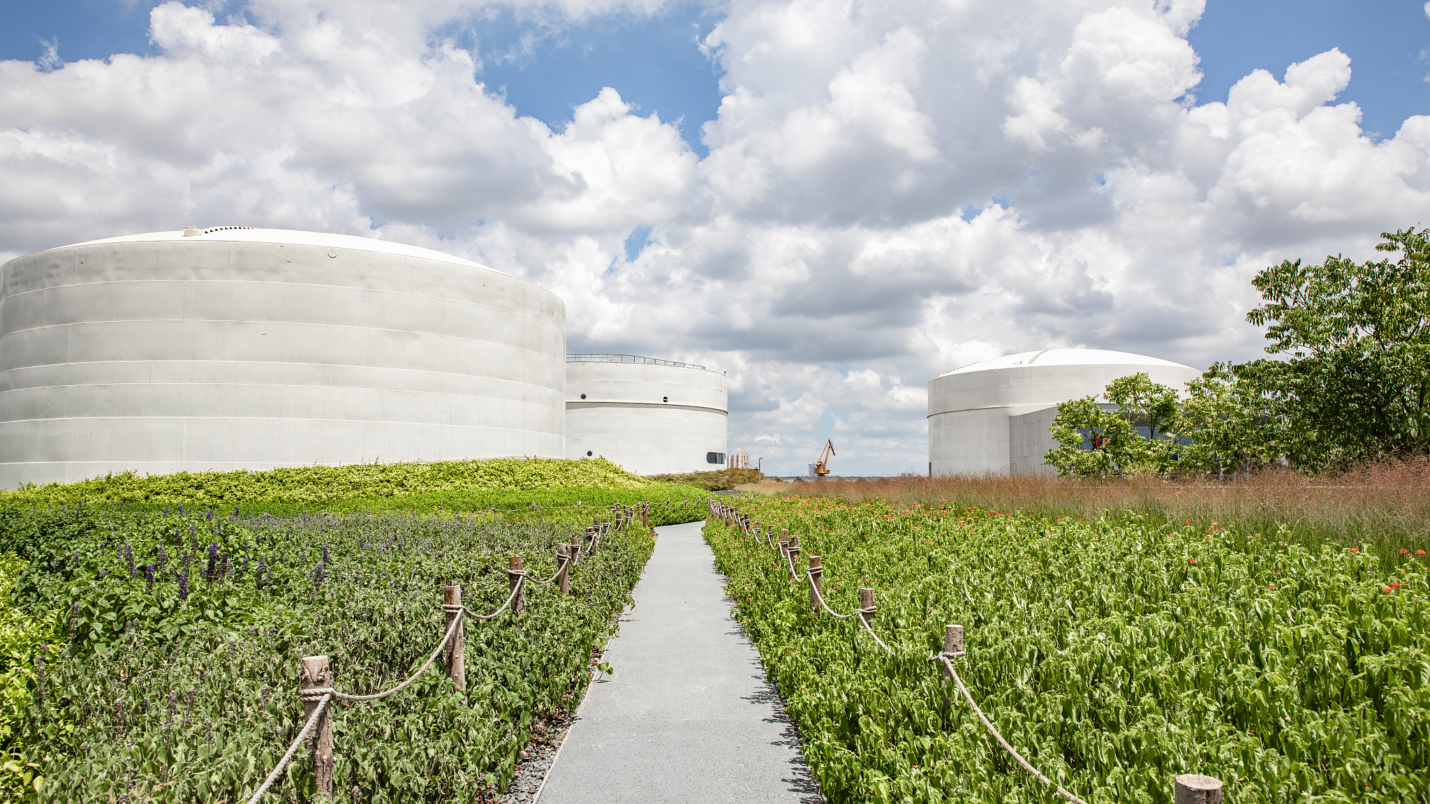 介绍目前INDUSTRIAL CROPS AND PRODUCTS期刊的现任主编、所在领域的地位、口碑、或者目标轻松的语气评价一下期刊好不好投字数 150-200？