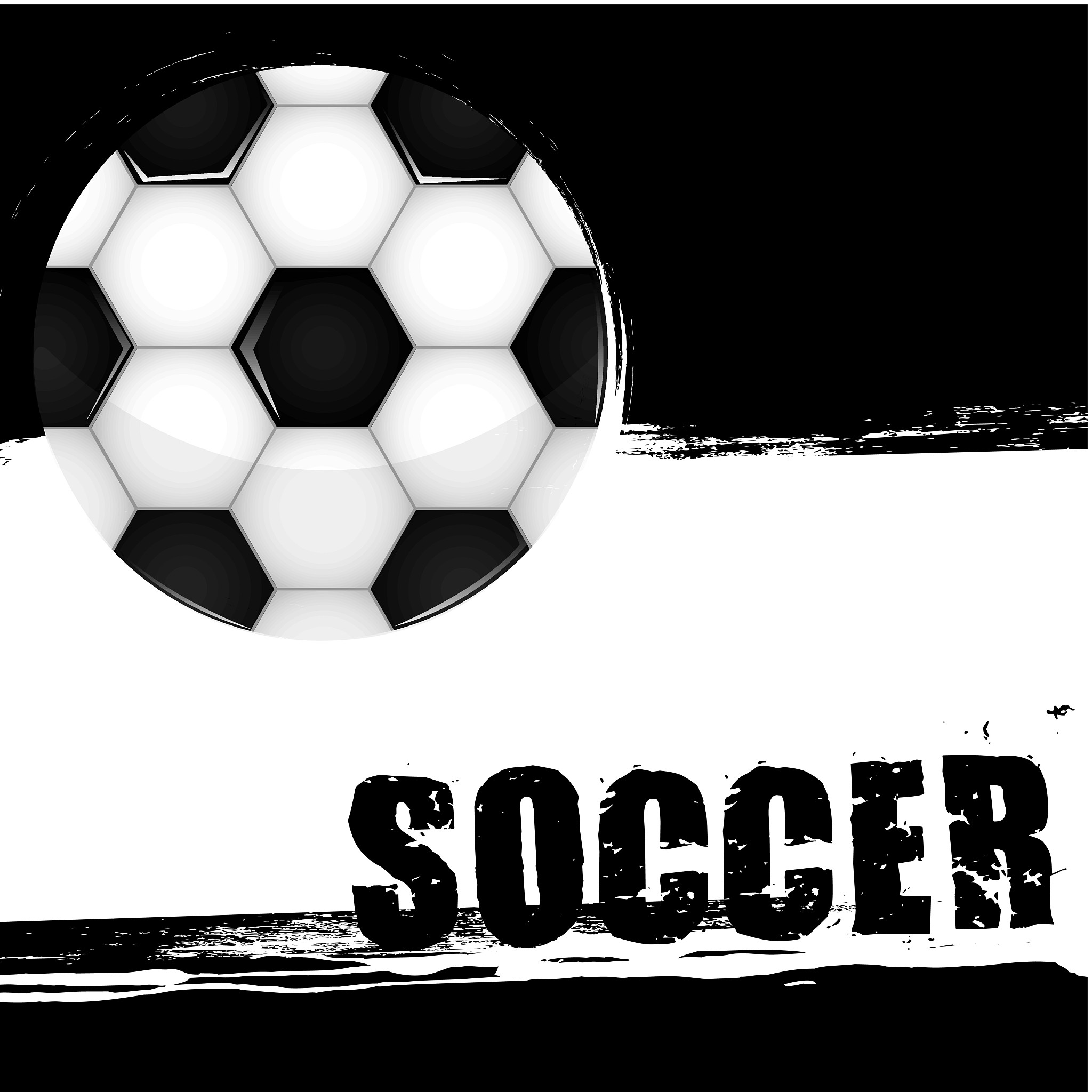 soccer vector
