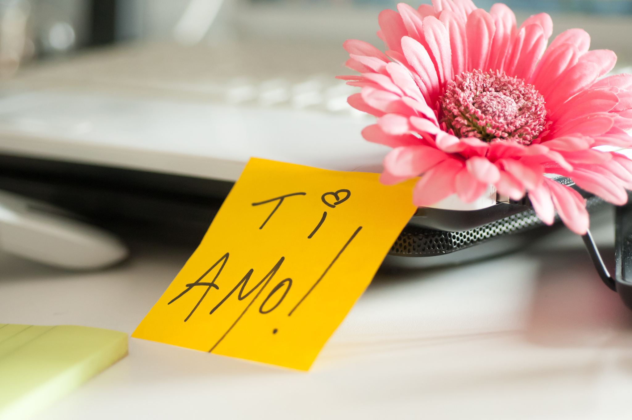 给女朋友的下午工作加油鼓励语