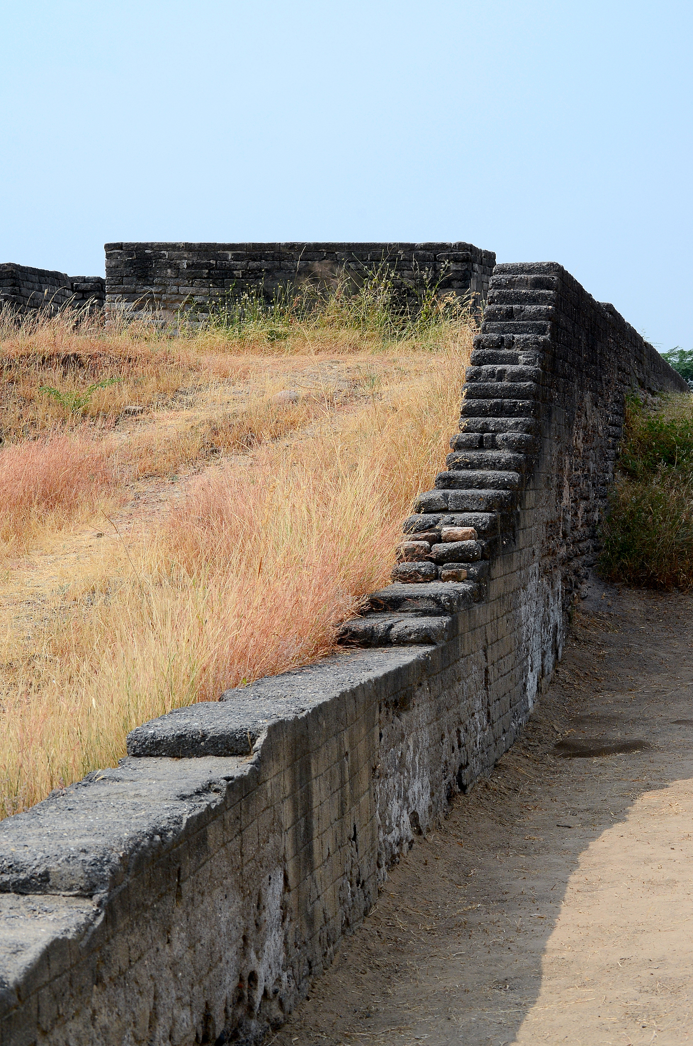 The Tang Dynasty: A Golden Age of Chinese Civilization