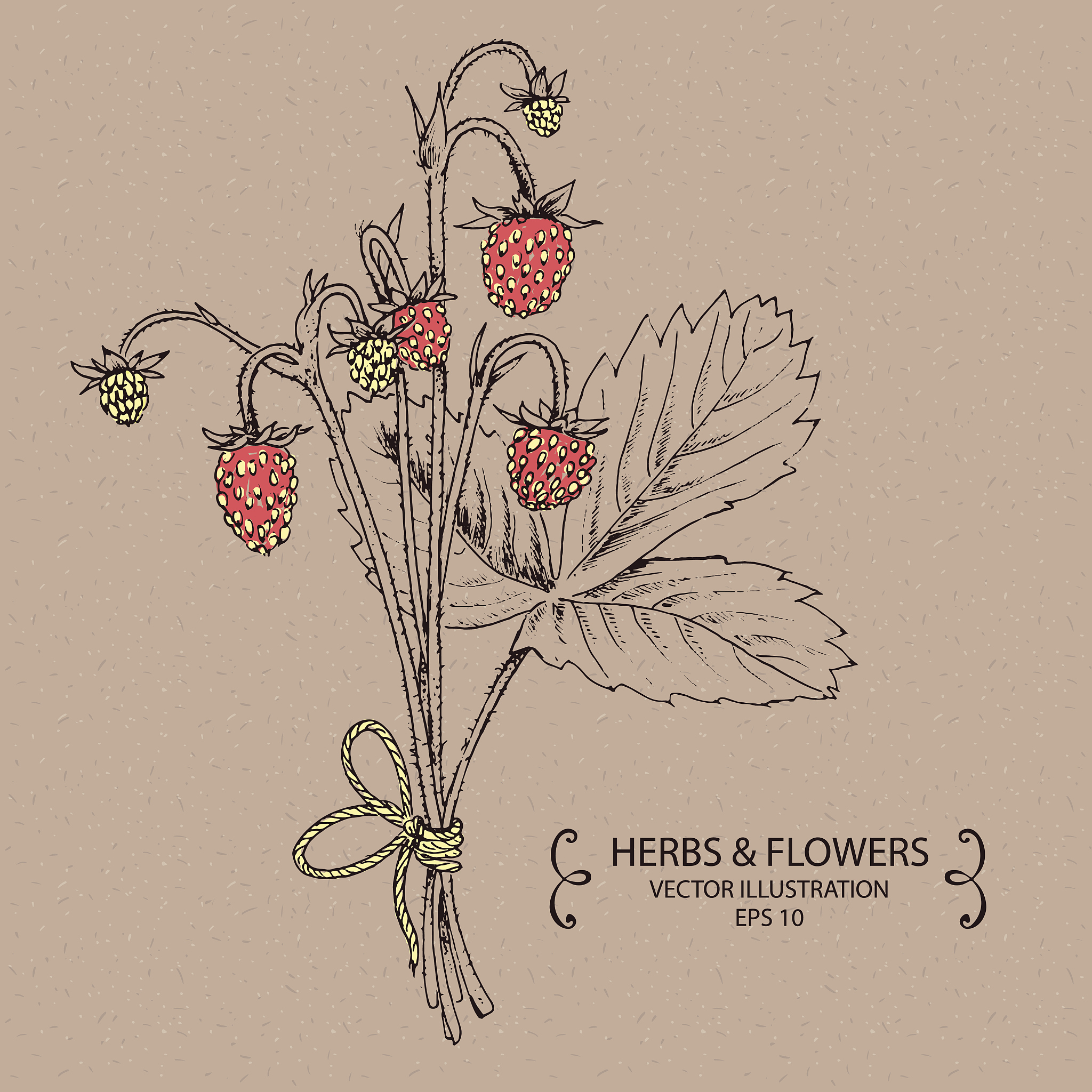 四年级下册美术书人教版内容解析：绘画基础、中国画、水彩画、素描、版画