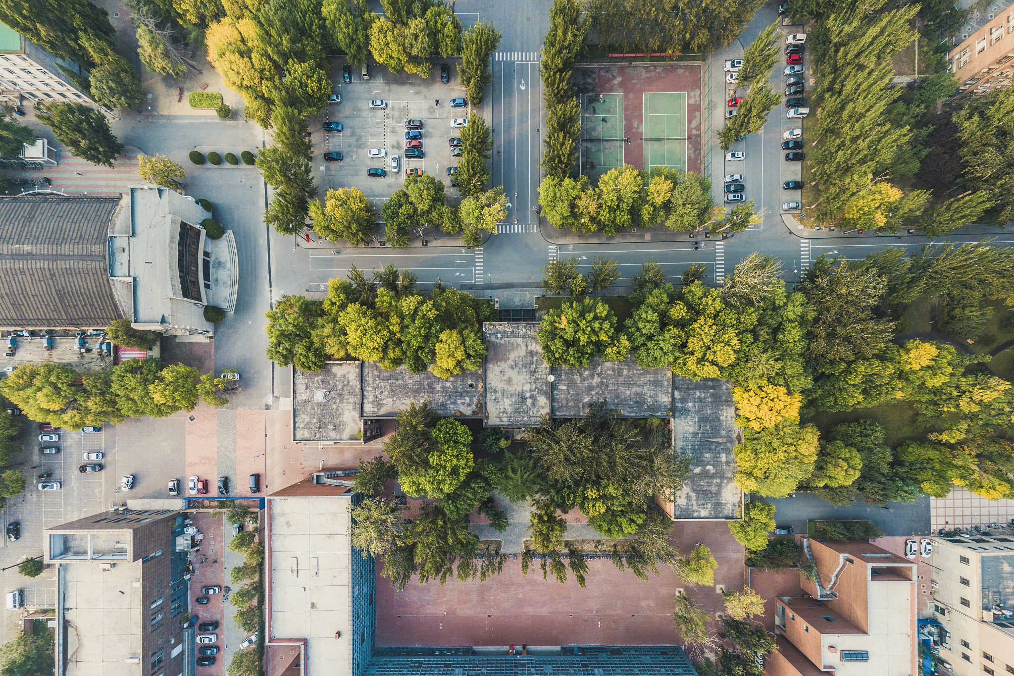 天津财经大学信息管理与信息系统专业怎么样