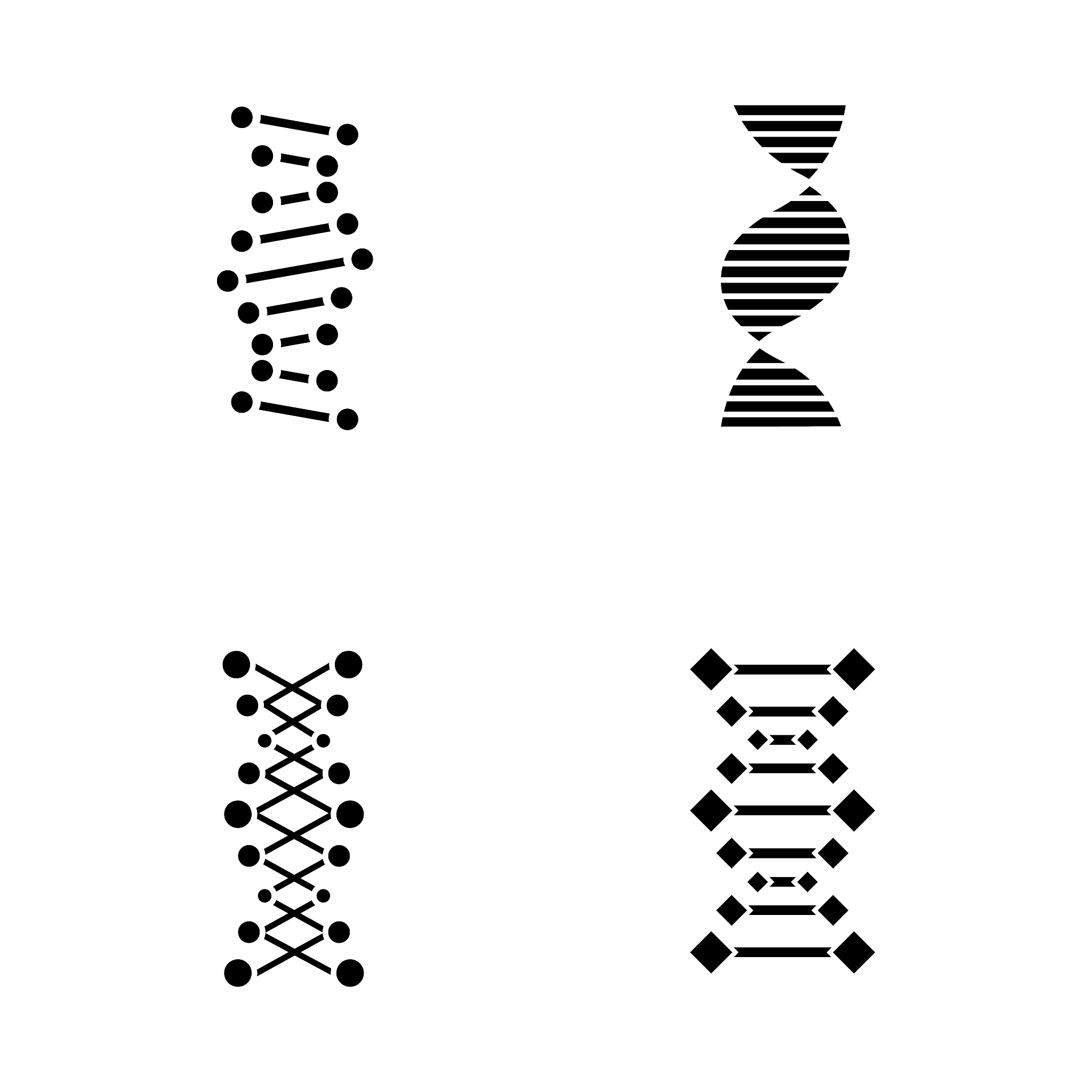 核小体组成：DNA、RNA和蛋白质的协同作用