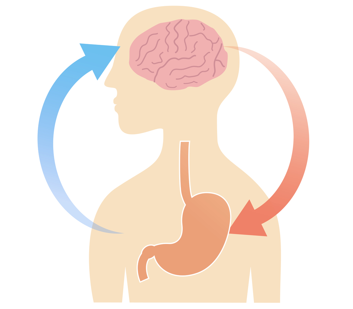 腹胀原因及早期识别：警惕这些信号！