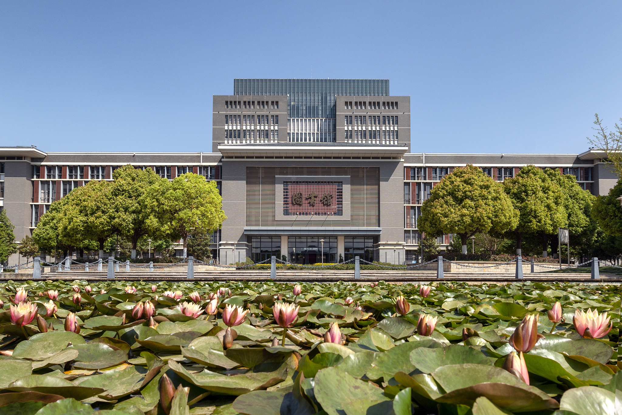 云南大学档案学专业怎么样 云南大学档案学专业怎么样