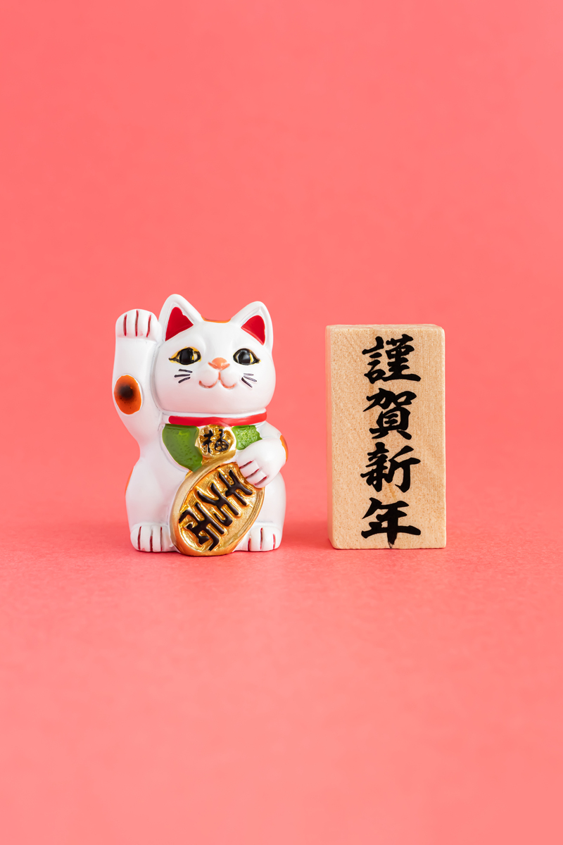 我正在做猫的形象一只叫雪眉一只叫狮猫想把招财和御守的概念结合形象起什么名字比较好？