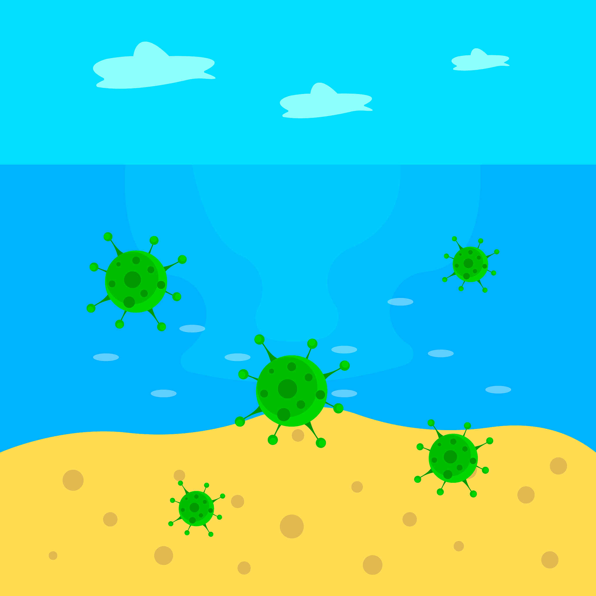 Sphingosinithalassobacter属有什么功能？