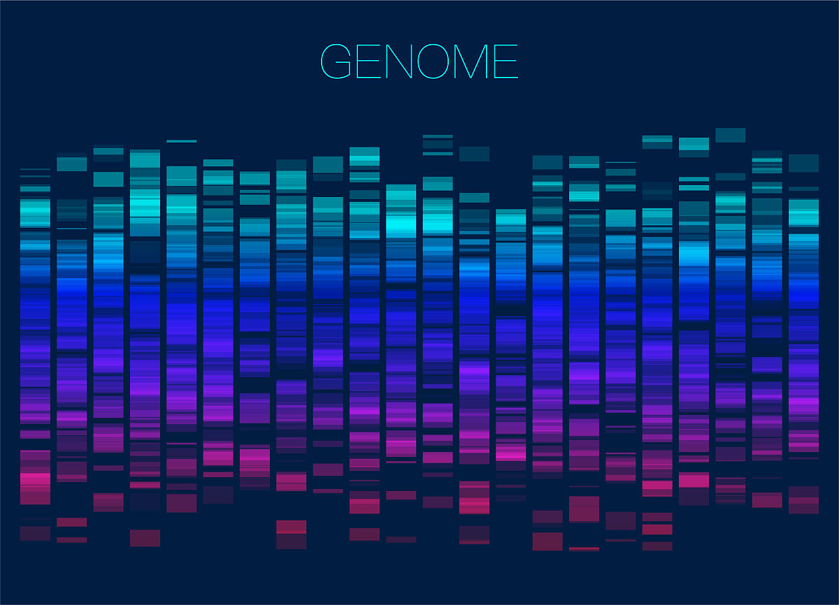 南昌大学生物科学专业怎么样