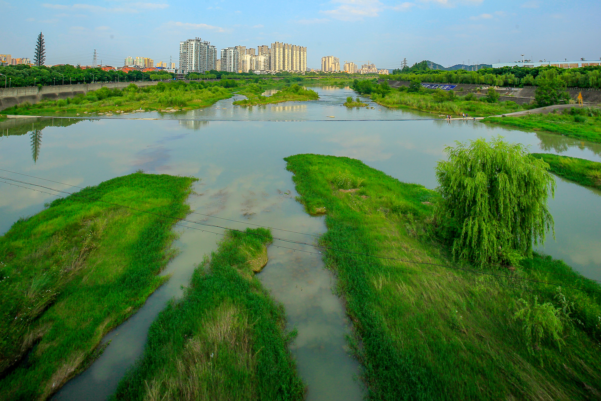 扬中市生态环境保护的赞美：绿色发展，美好家园