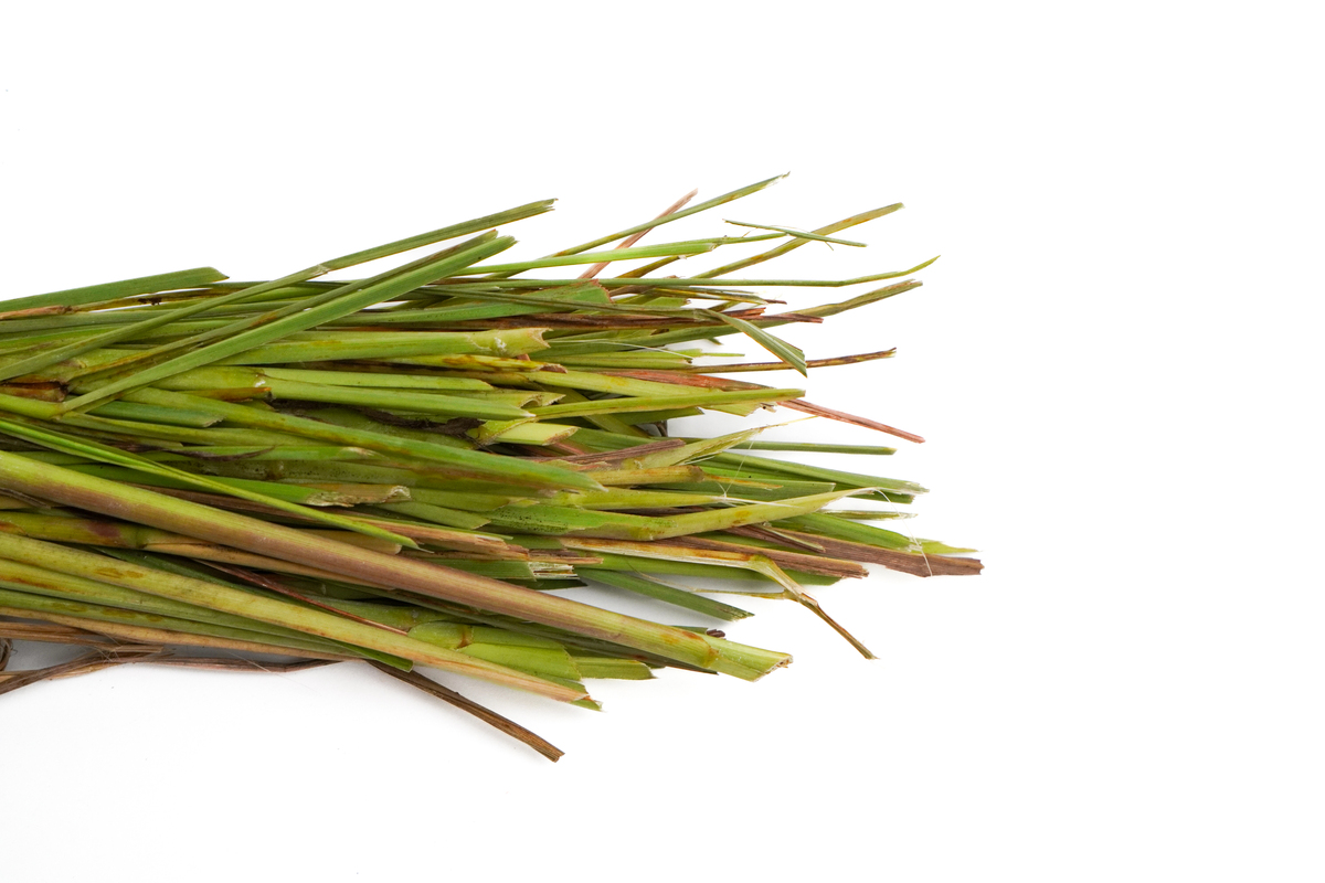 香茅味大概像什么味，