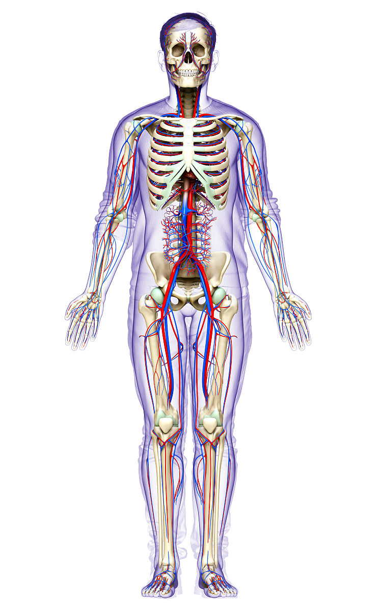 铜仁中专学校都有哪些专业好