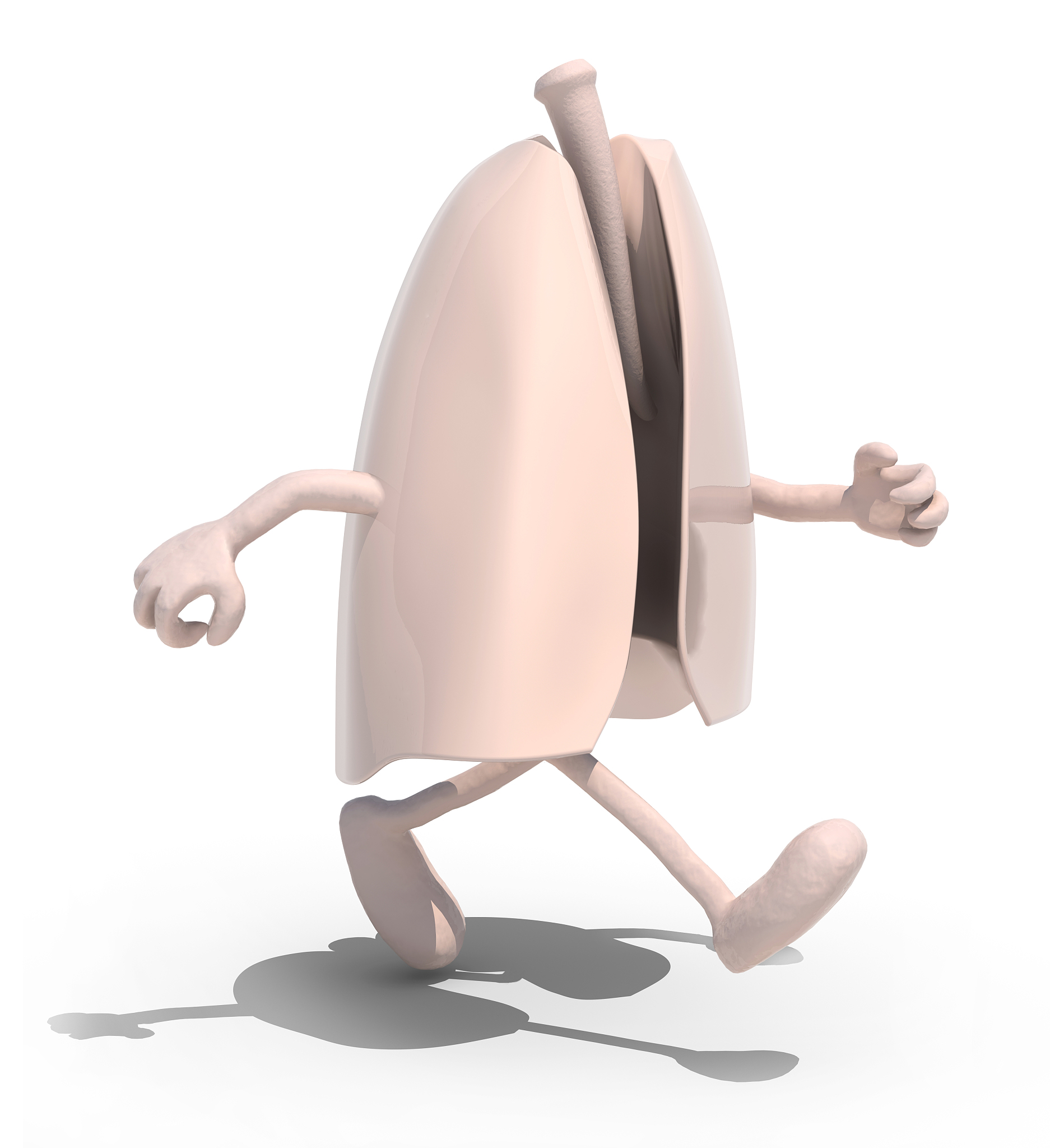 动植物与人类的关系：密不可分的伙伴