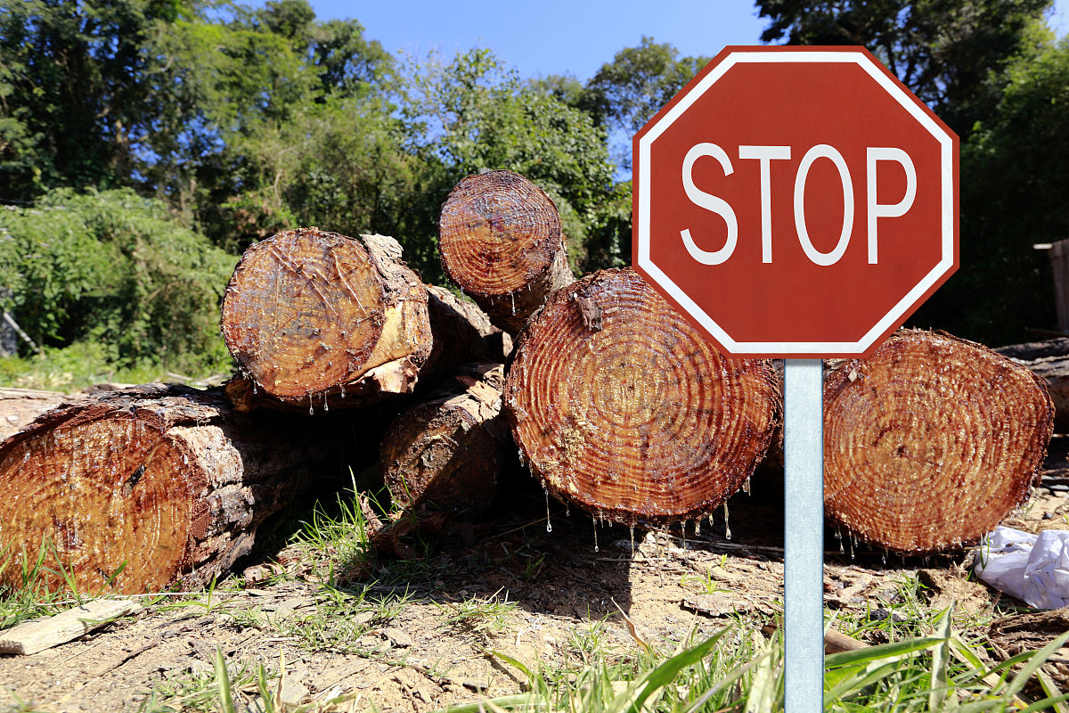 云南建设学校建筑工程技术专业怎么样？好不好