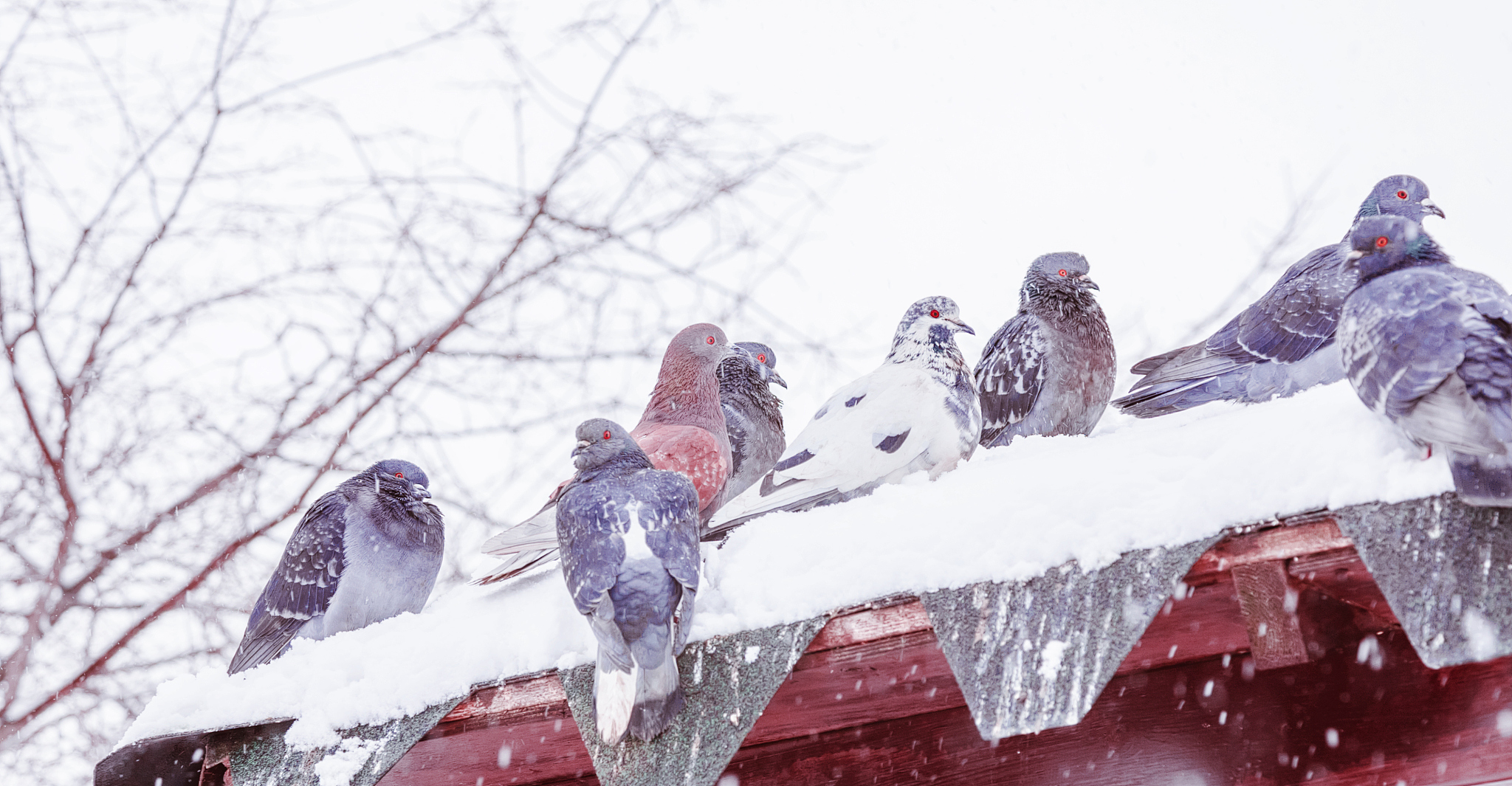 Weather starts getting warm Leaves start growing Butterflies start flying The holidays are ending We start going outing Spring is here进行仿写