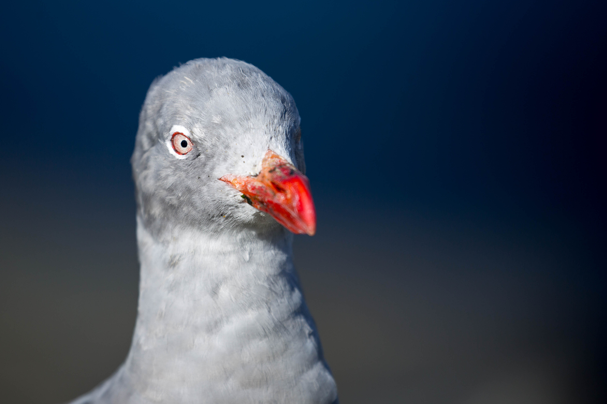 我相信你一定有对大海的独特理解吧？那就请你写一首以海为主题的七言律诗描述清晨的潮起潮落让读者感受到海洋的壮美与伟大。