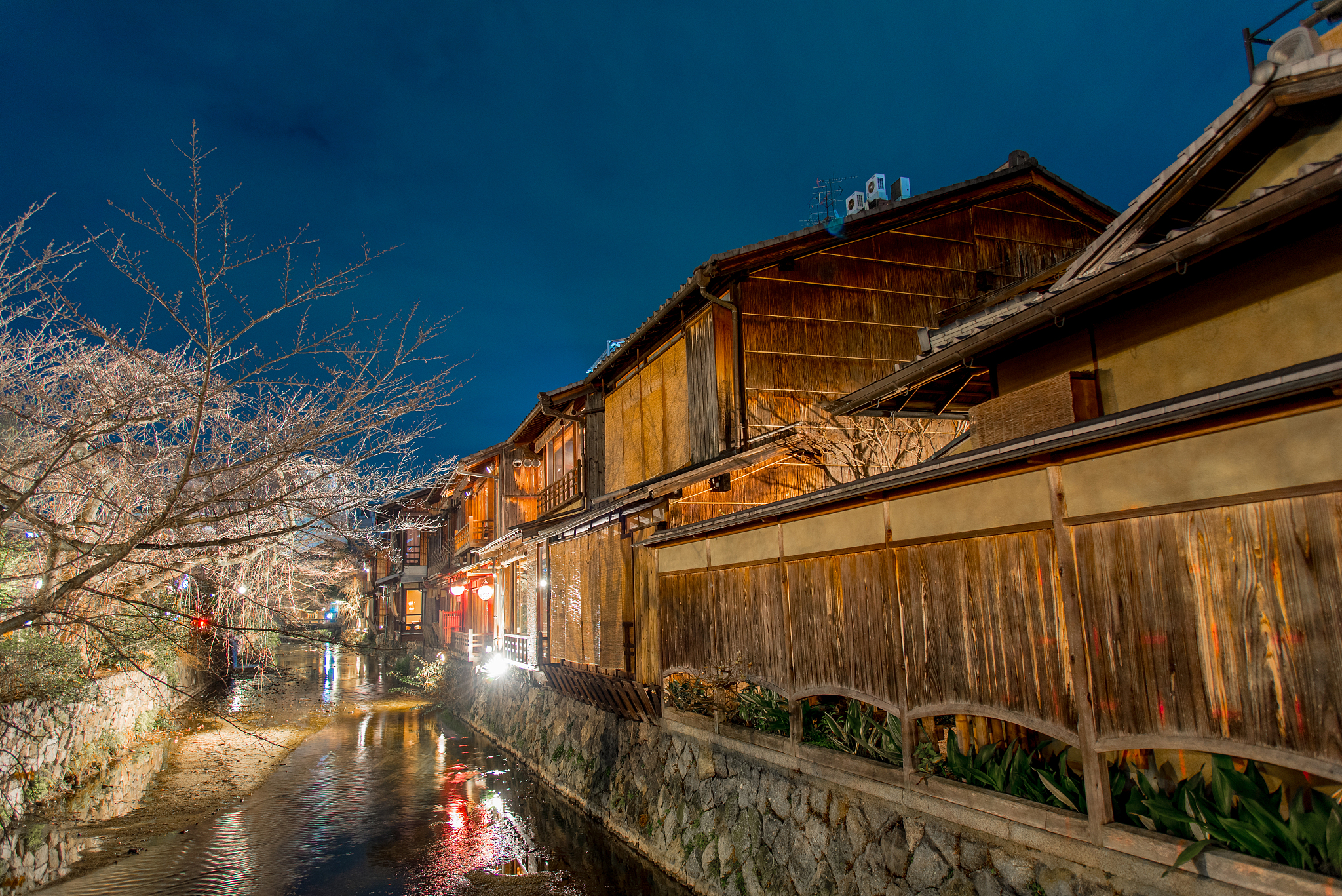 Exploring the Symbolism of the Plum Blossom in Chinese Poetry