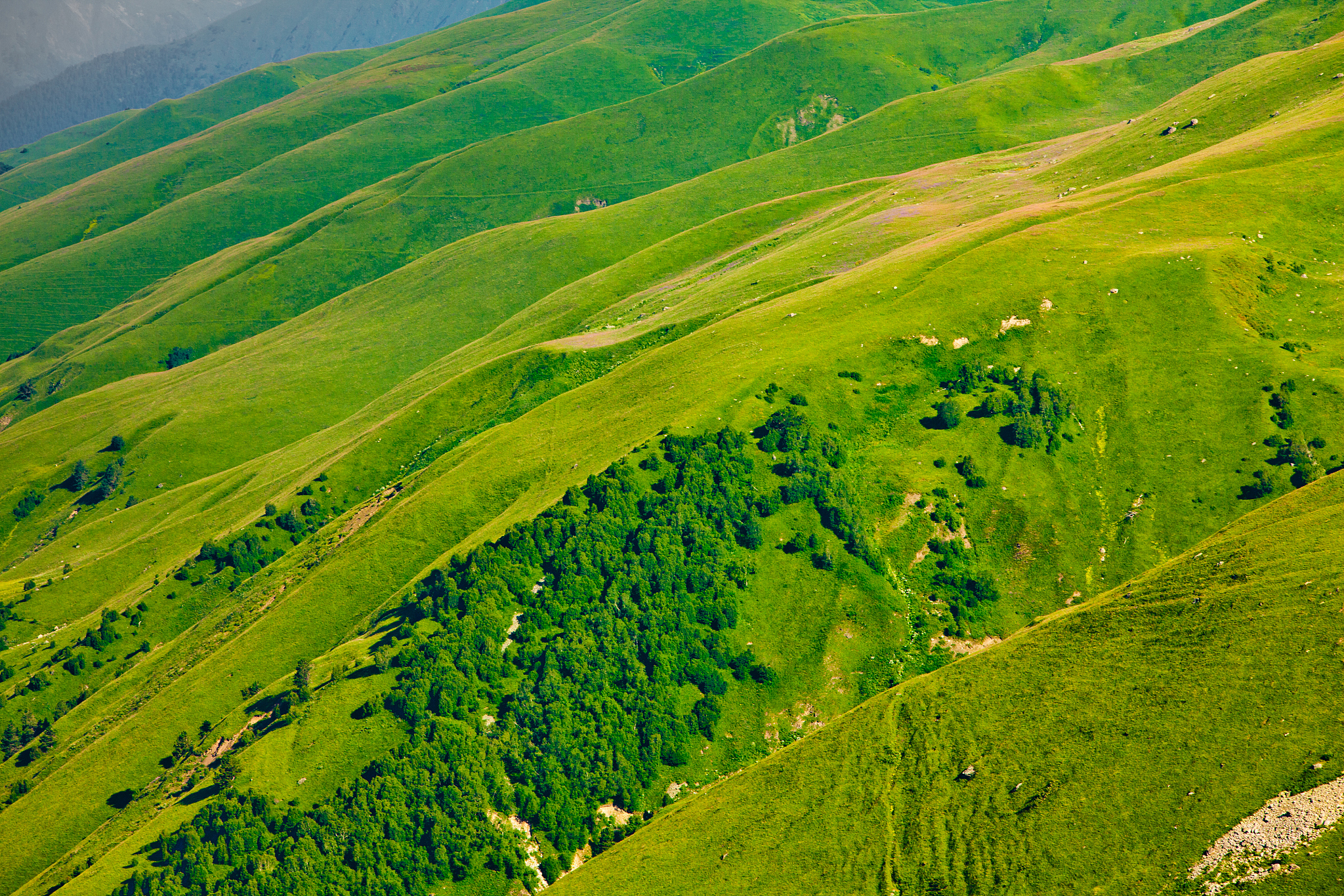 green slopes of causacus mountains