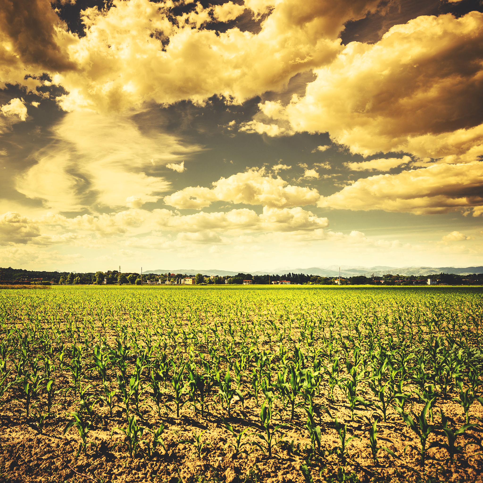 甘肃现代农艺技术专业中专中职学校推荐：培养农业未来人才