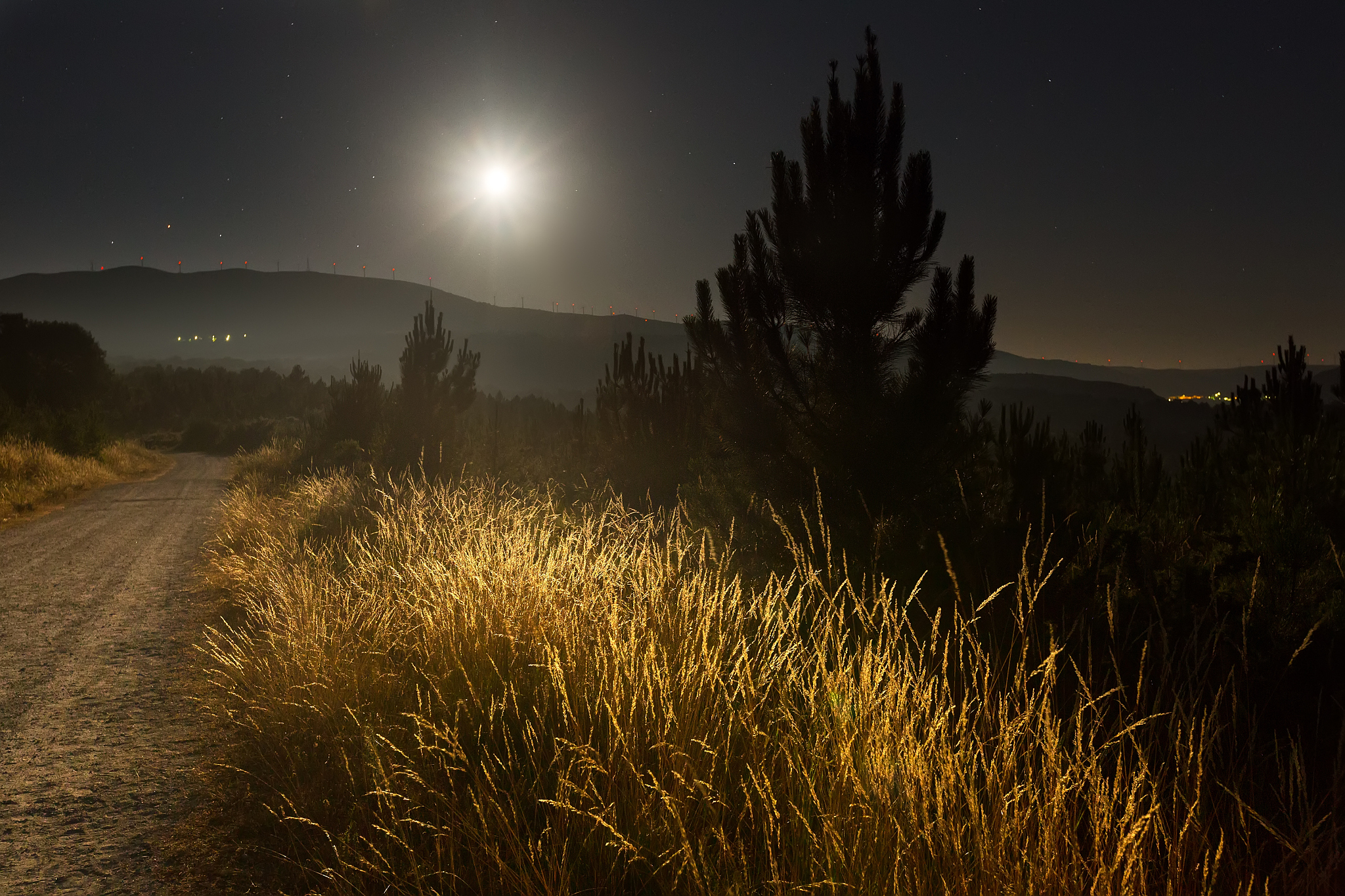 深夜圆月下有座山有漫天荧光照亮山下的稻田描述当前情景要求简介