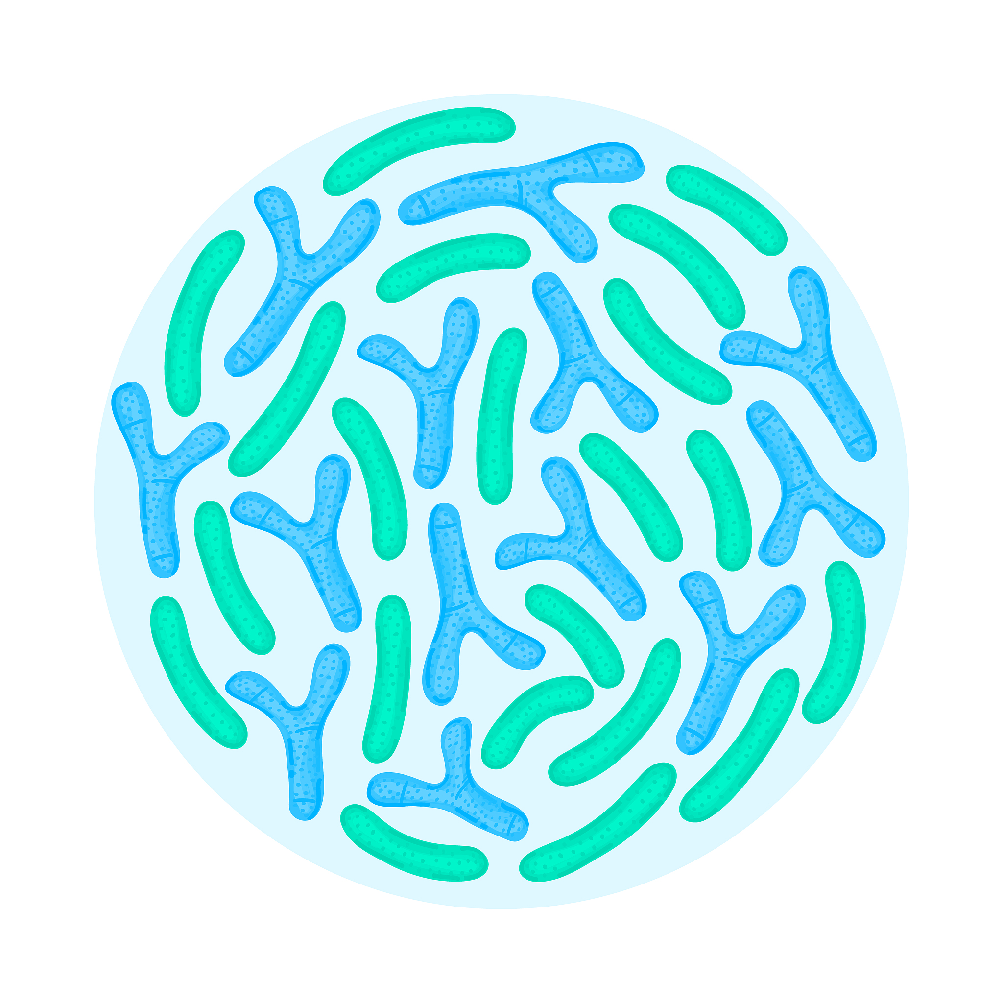 酸奶里面还有益生菌吗