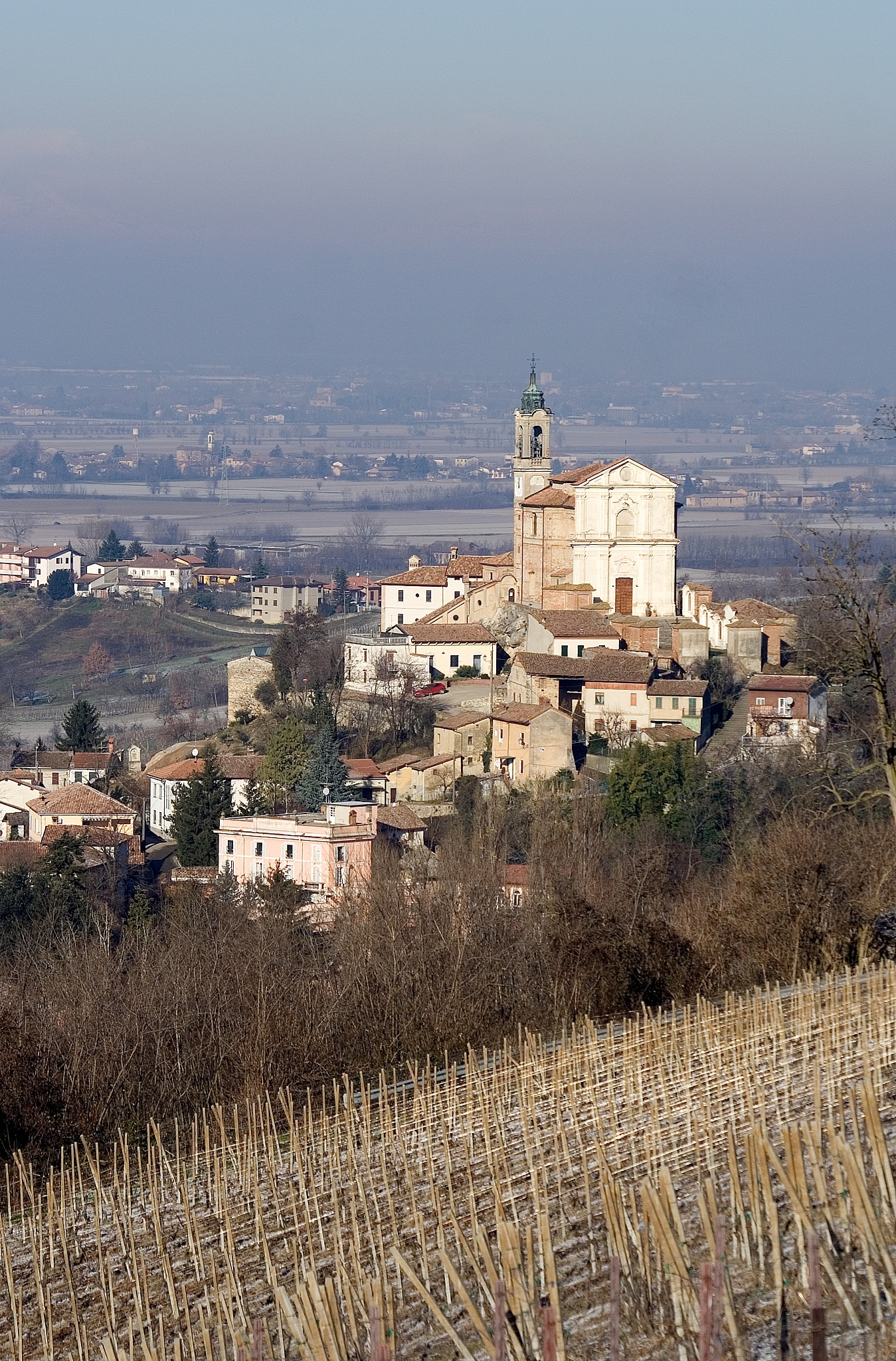 TE 开头的单词列表 - 完整版