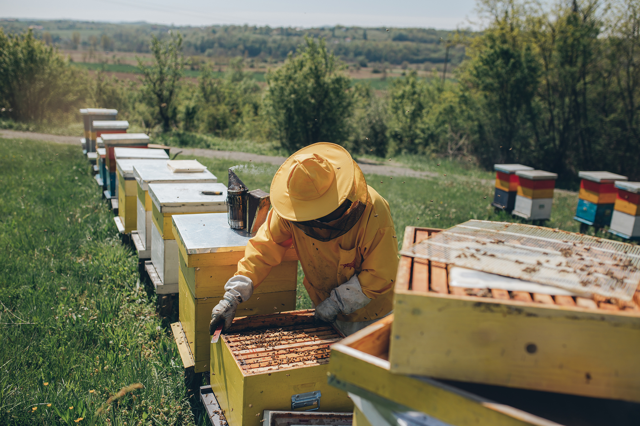 江西农业工程职业学院宠物临床诊疗技术专业优势怎么样发展前景好不好呢；：：；；第三件事输入分隔符###################