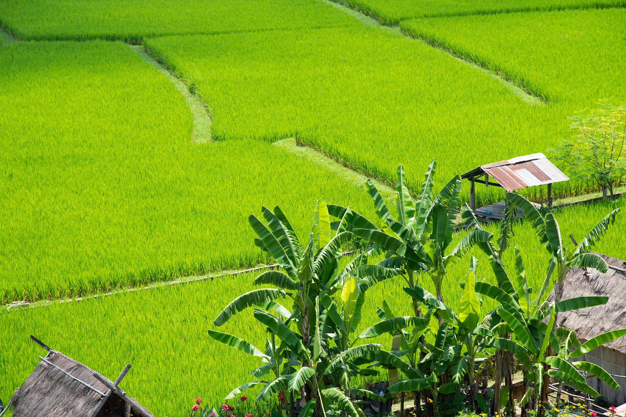 曲靖农校2019年全日制五年制农业专业招生报名