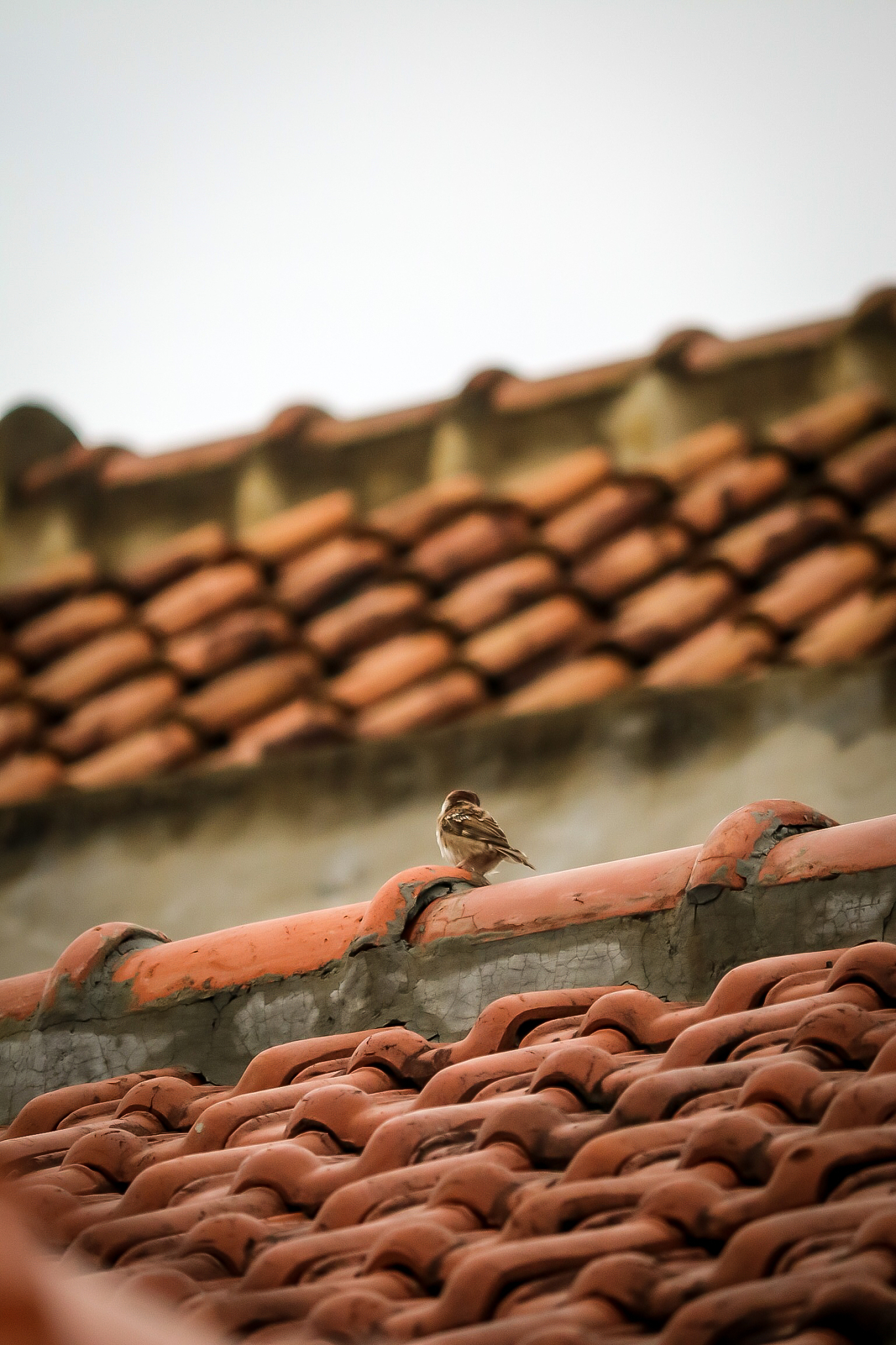 挑选一个你认为最有意思的小故事