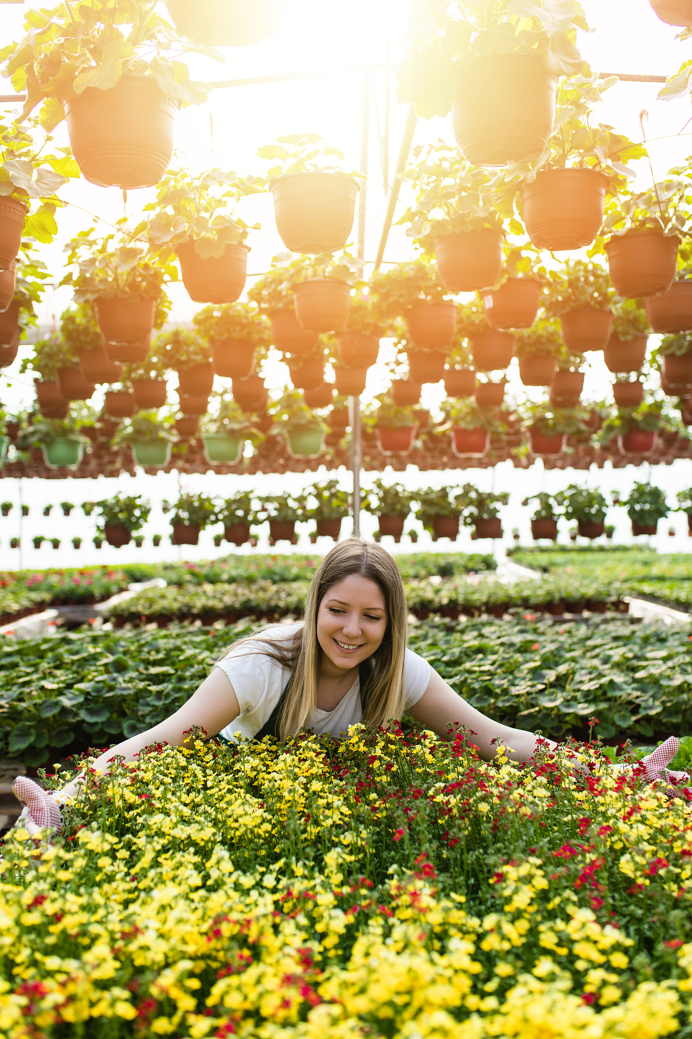 江苏海安农业工程学校2022年专业设置：农业工程人才培养基地