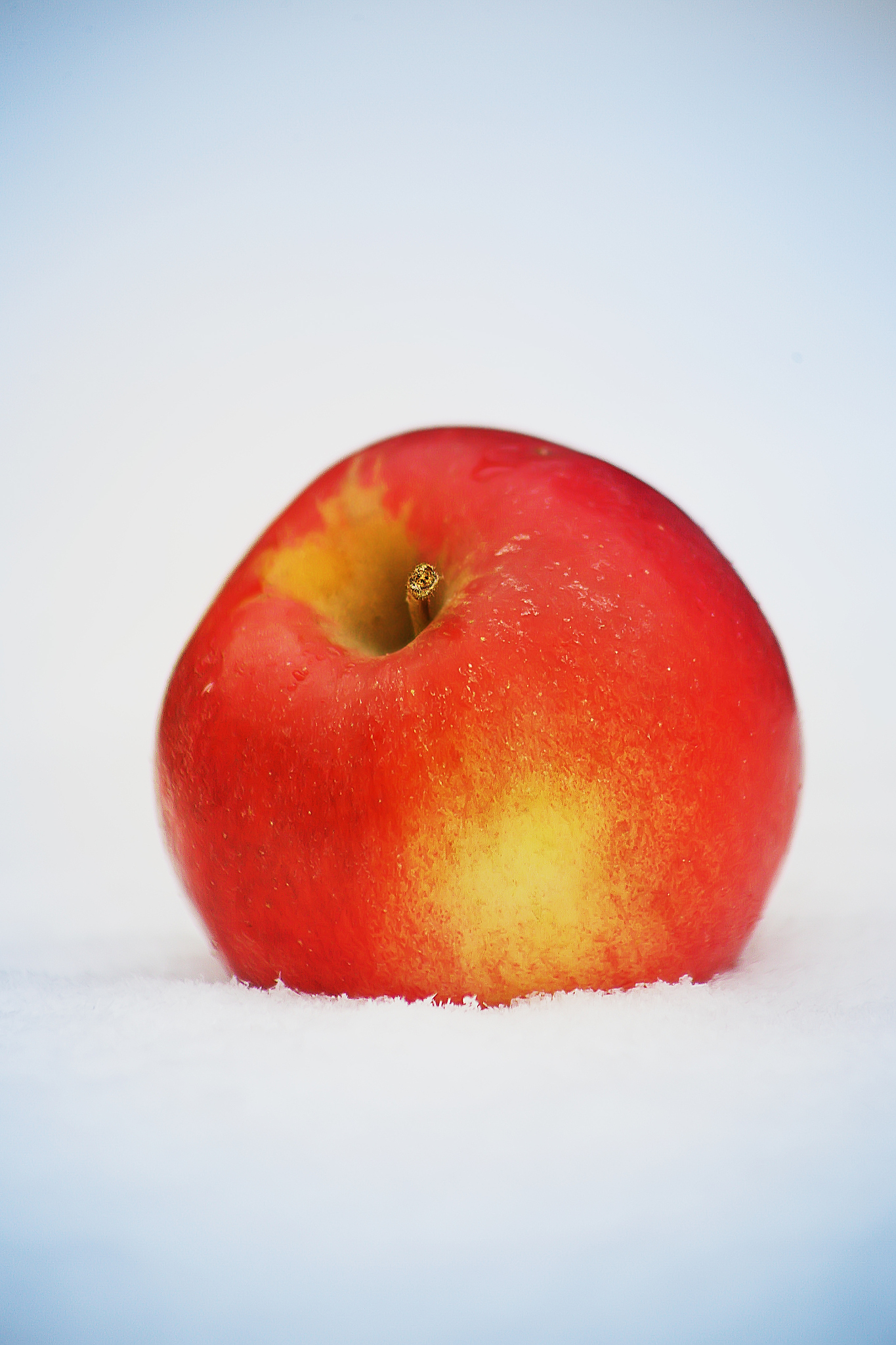 apple on snow