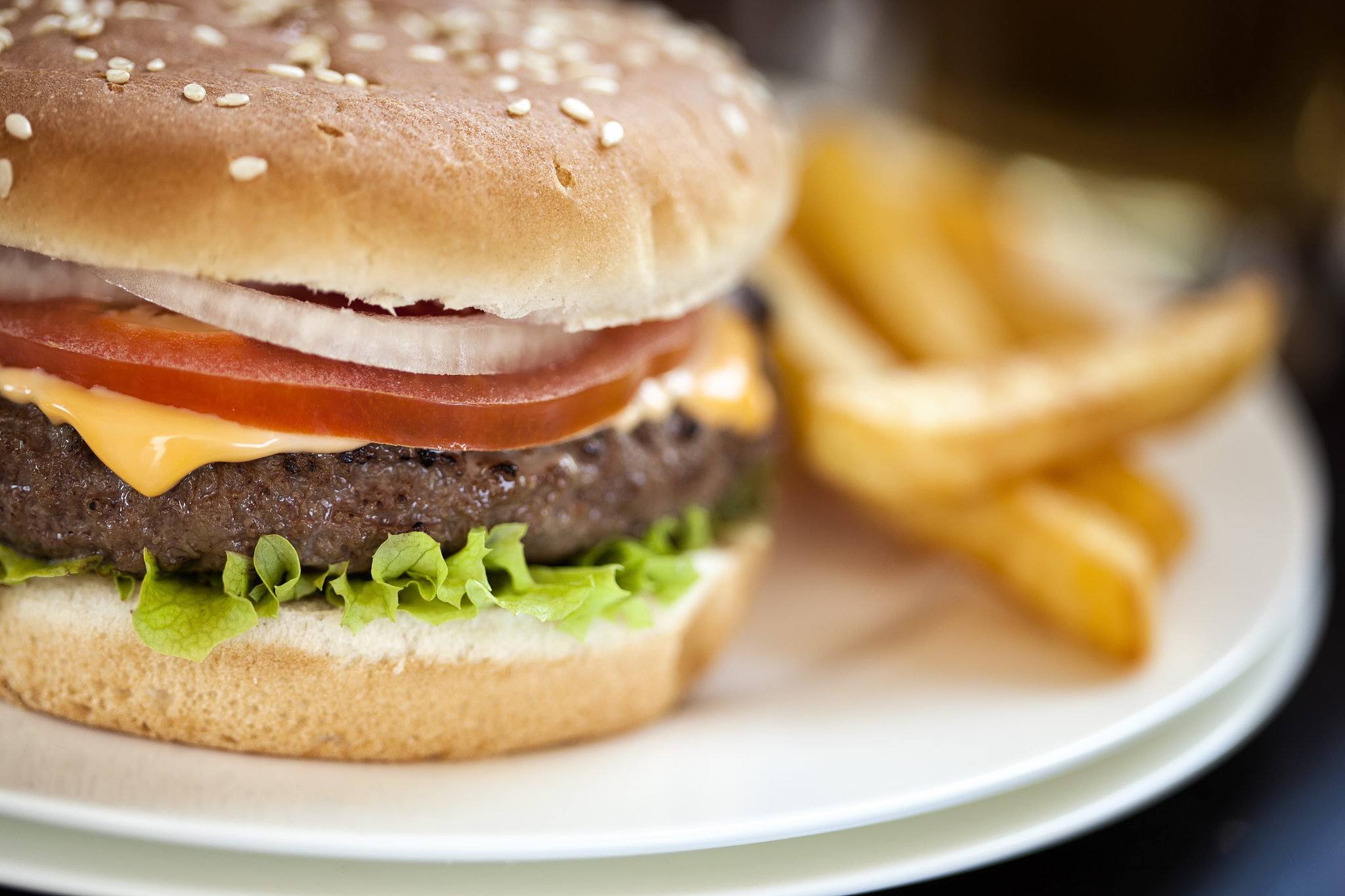 burger with fries